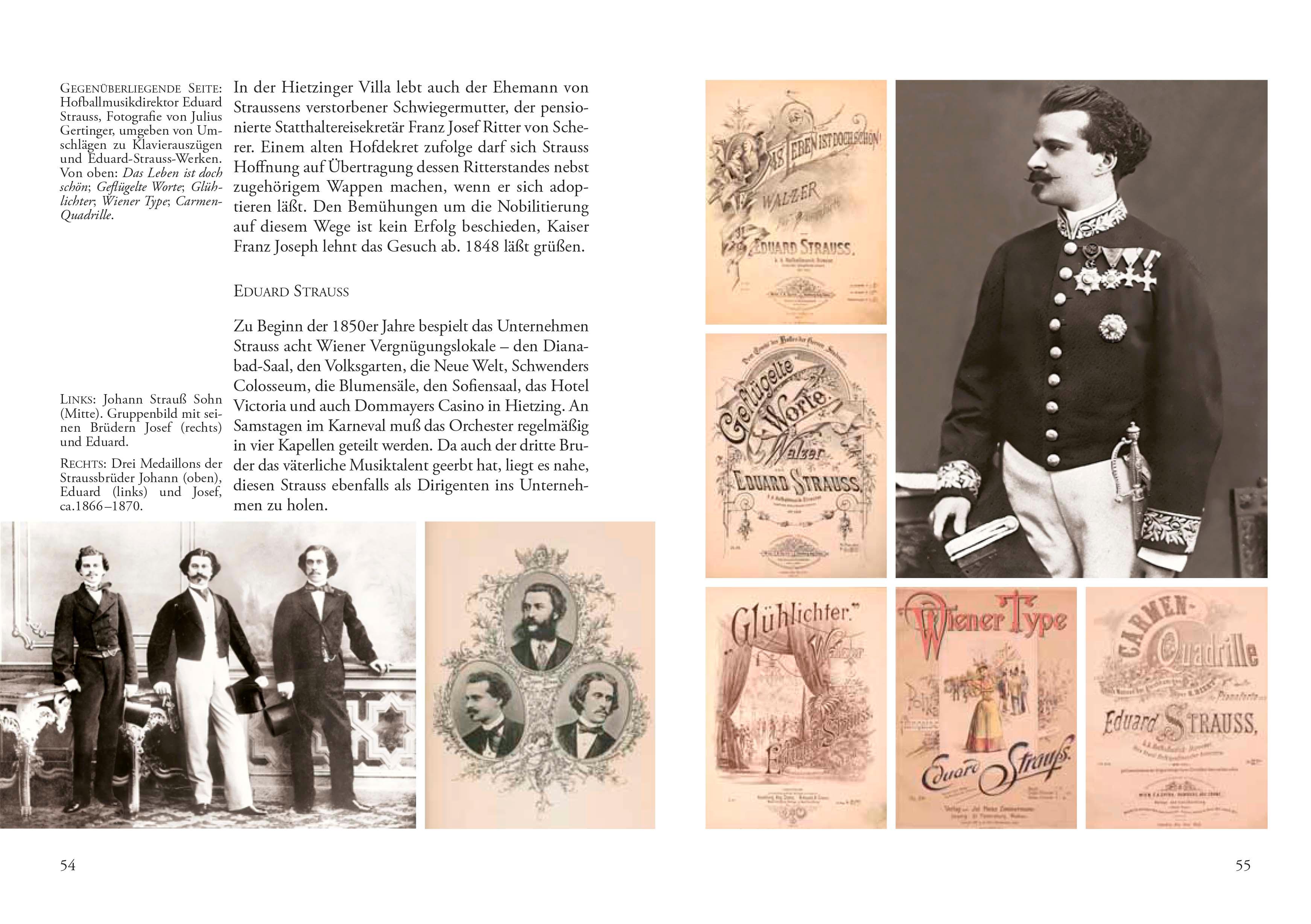 Beispielinhalt (Bild) Johann Strauss