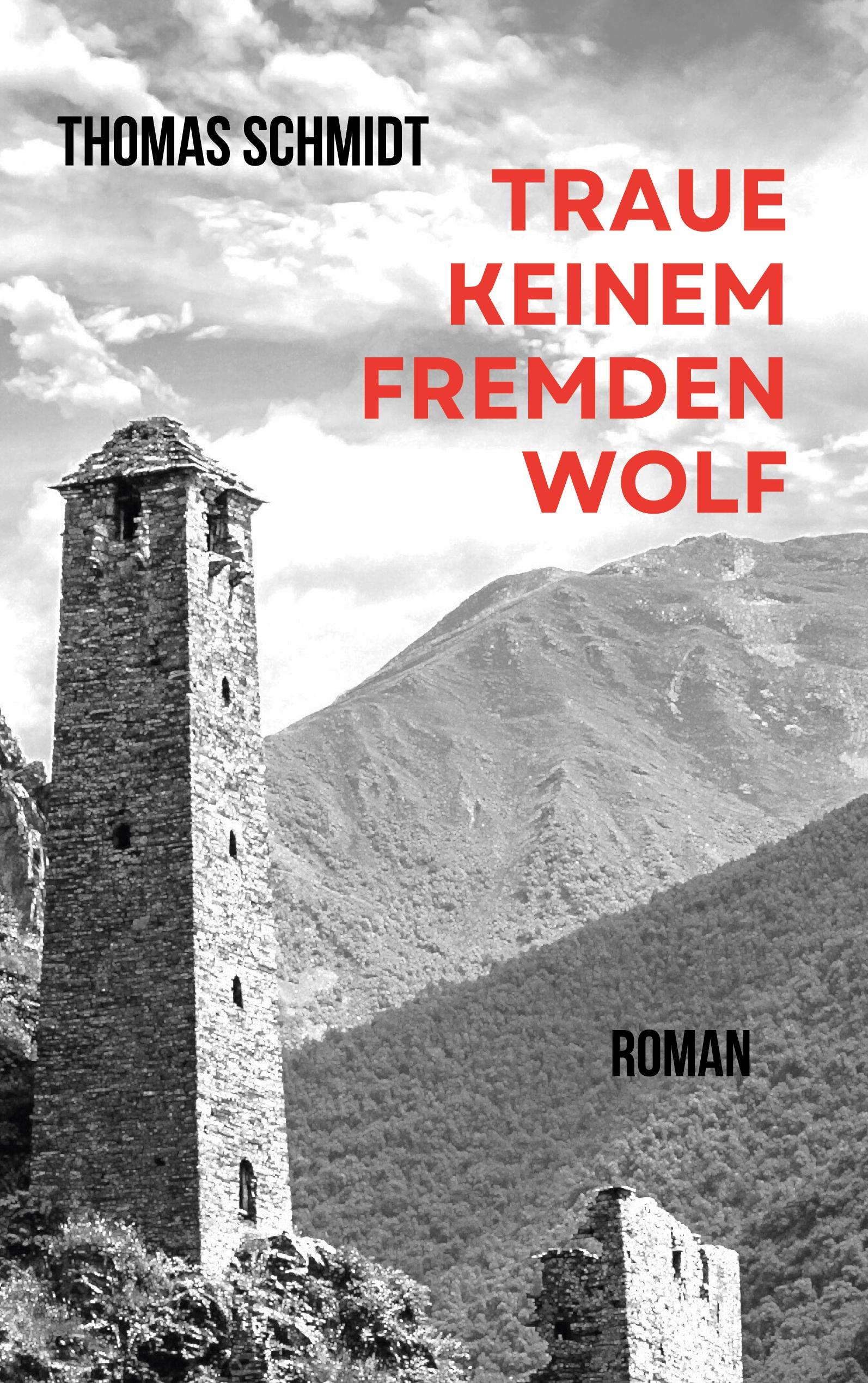 Vorderes Coverbild Traue keinem fremden Wolf