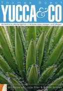 Vorderes Coverbild Yucca & Co