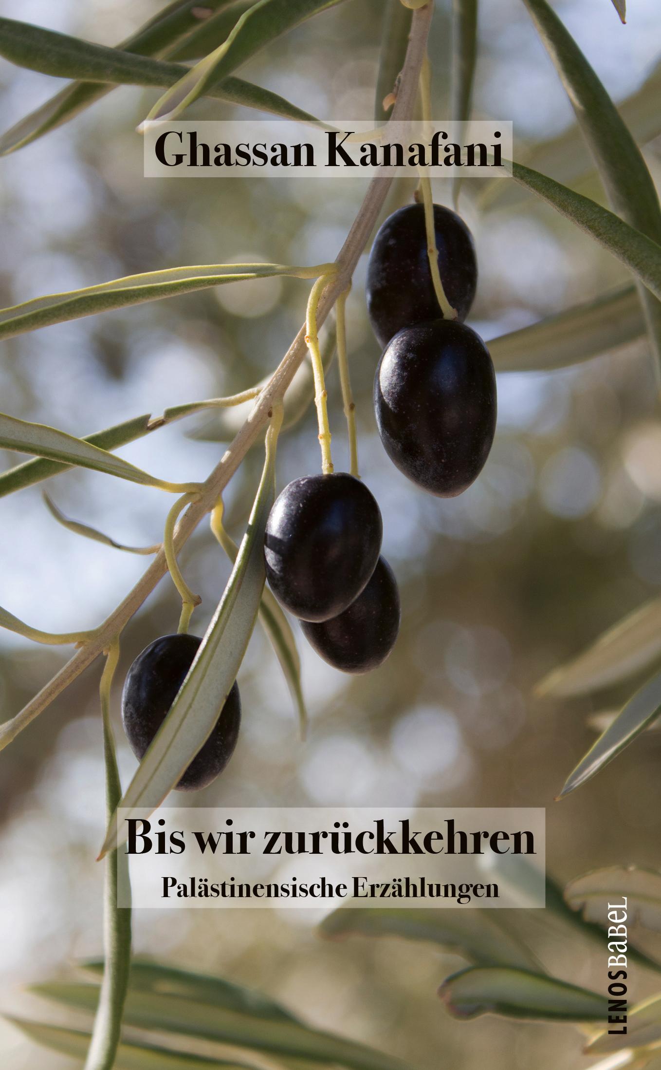 Vorderes Coverbild Bis wir zurückkehren