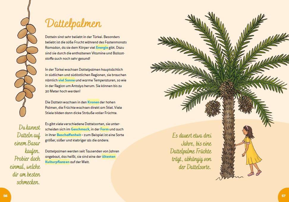 Beispielinhalt (Bild) Türkei for kids