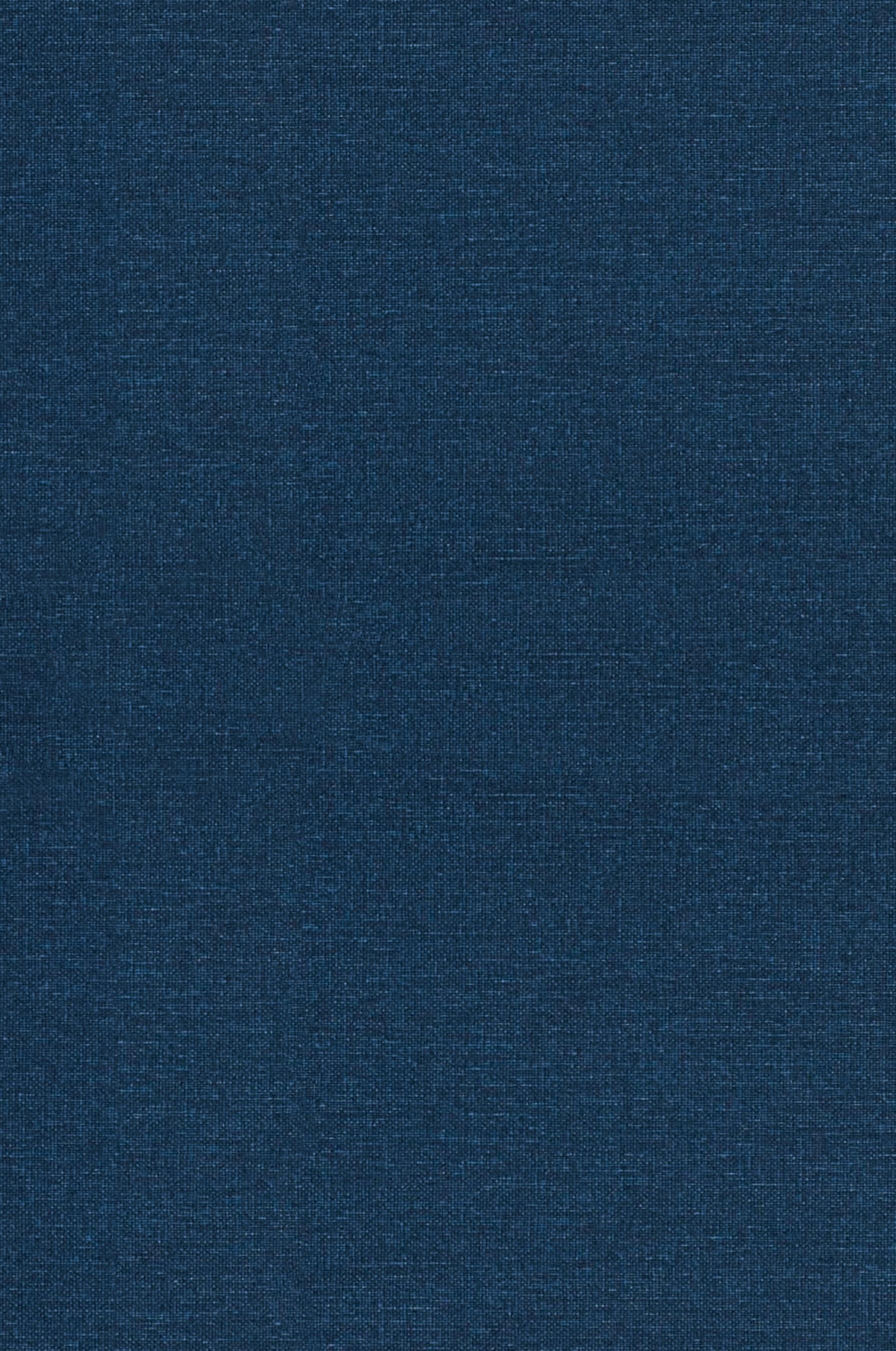 Vorderes Coverbild Journeying Through the Psalms