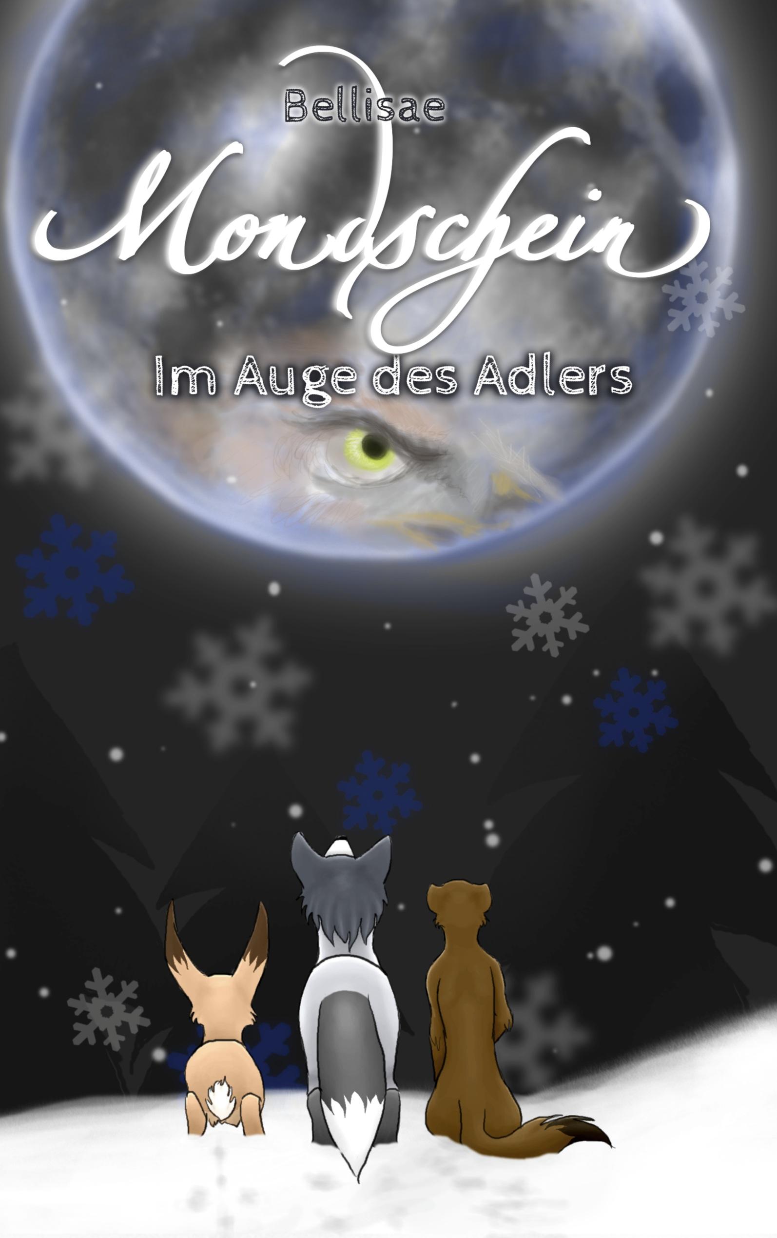 Vorderes Coverbild Mondschein II