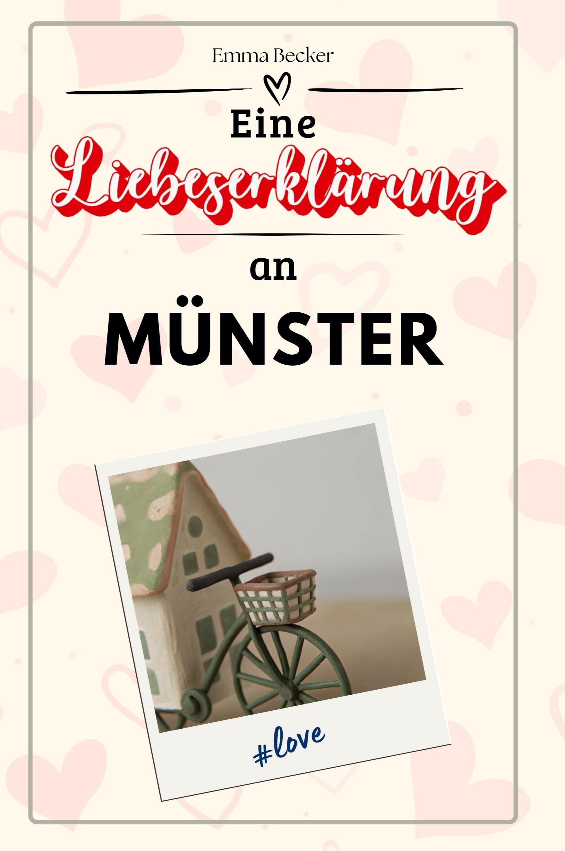 Vorderes Coverbild Eine Liebeserklärung an Münster