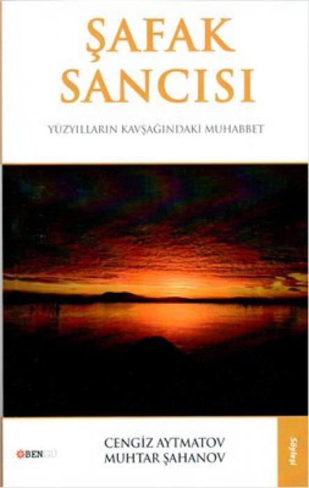 Vorderes Coverbild Safak Sancisi