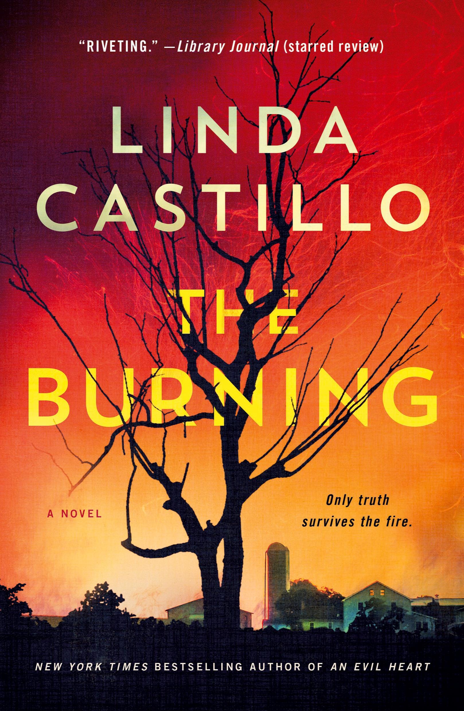Vorderes Coverbild The Burning