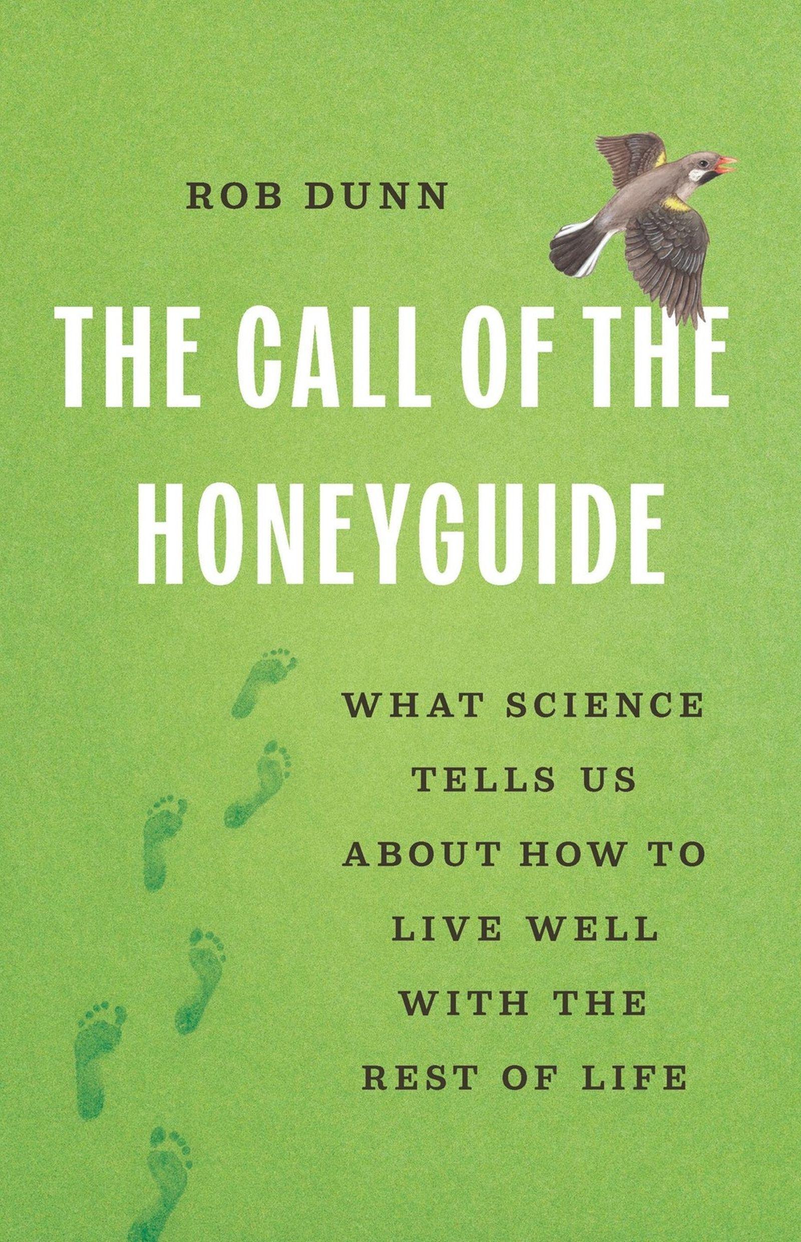 Vorderes Coverbild The Call of the Honeyguide