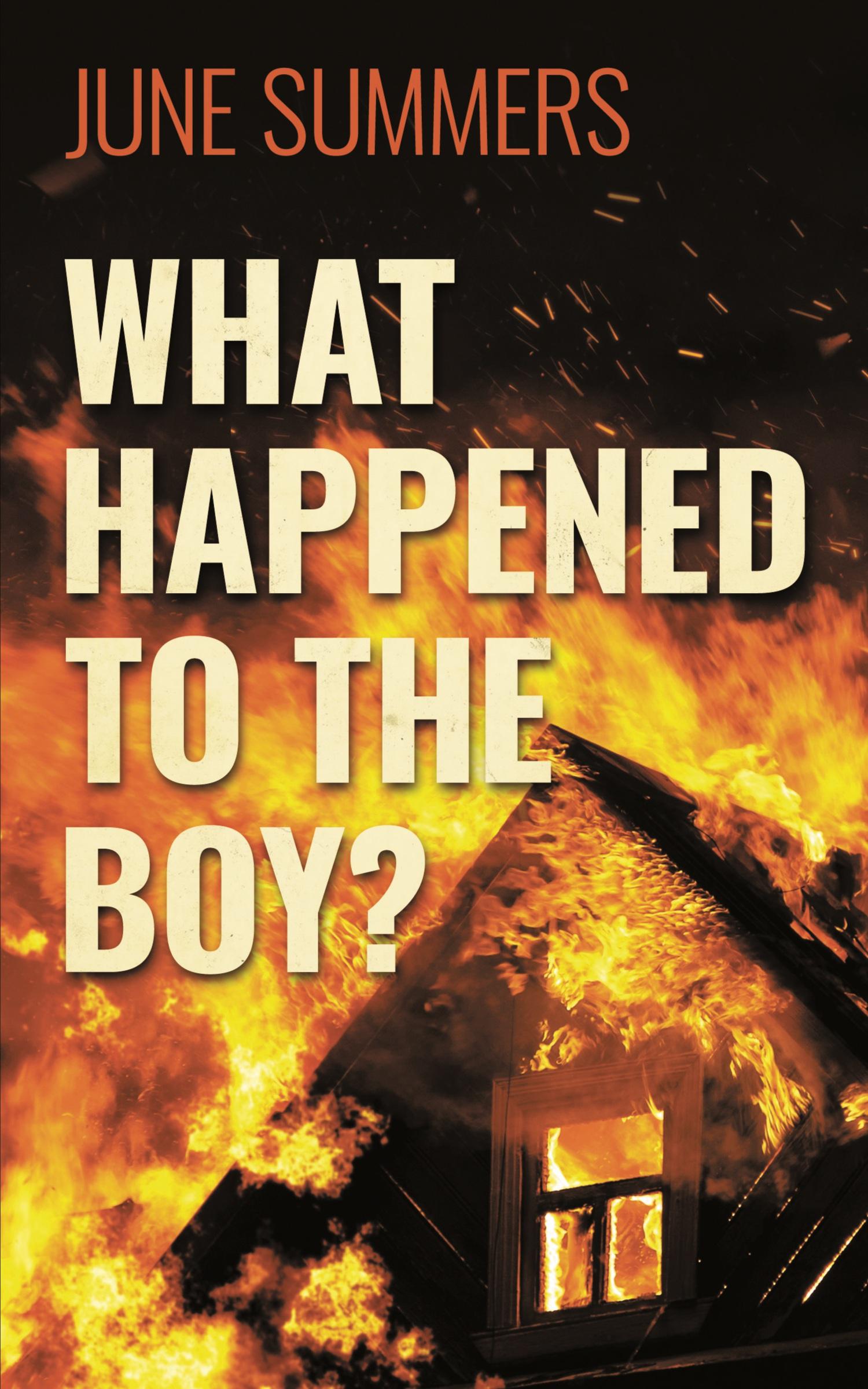 Vorderes Coverbild What Happened to the Boy?