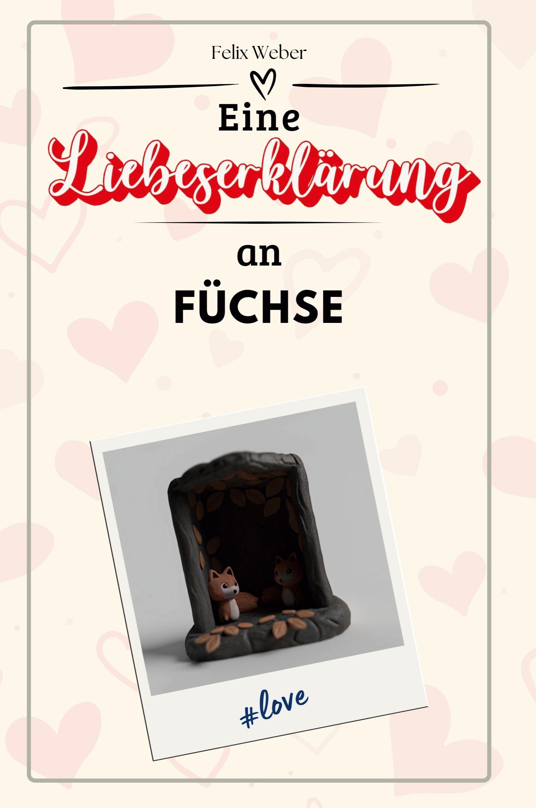 Vorderes Coverbild Eine Liebeserklärung an Füchse