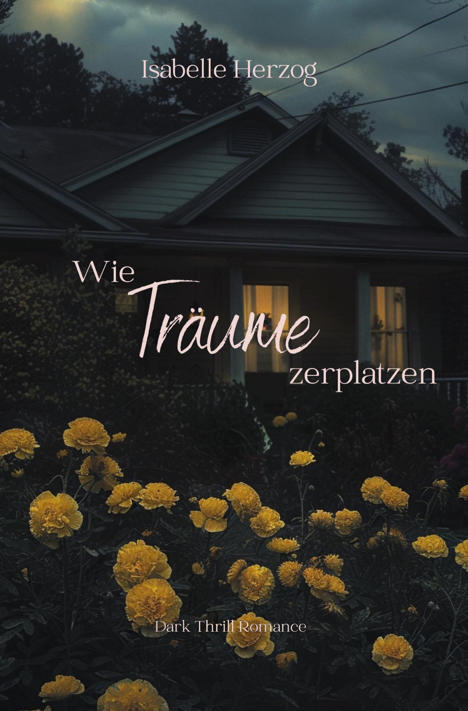 Vorderes Coverbild Wie Träume zerplatzen