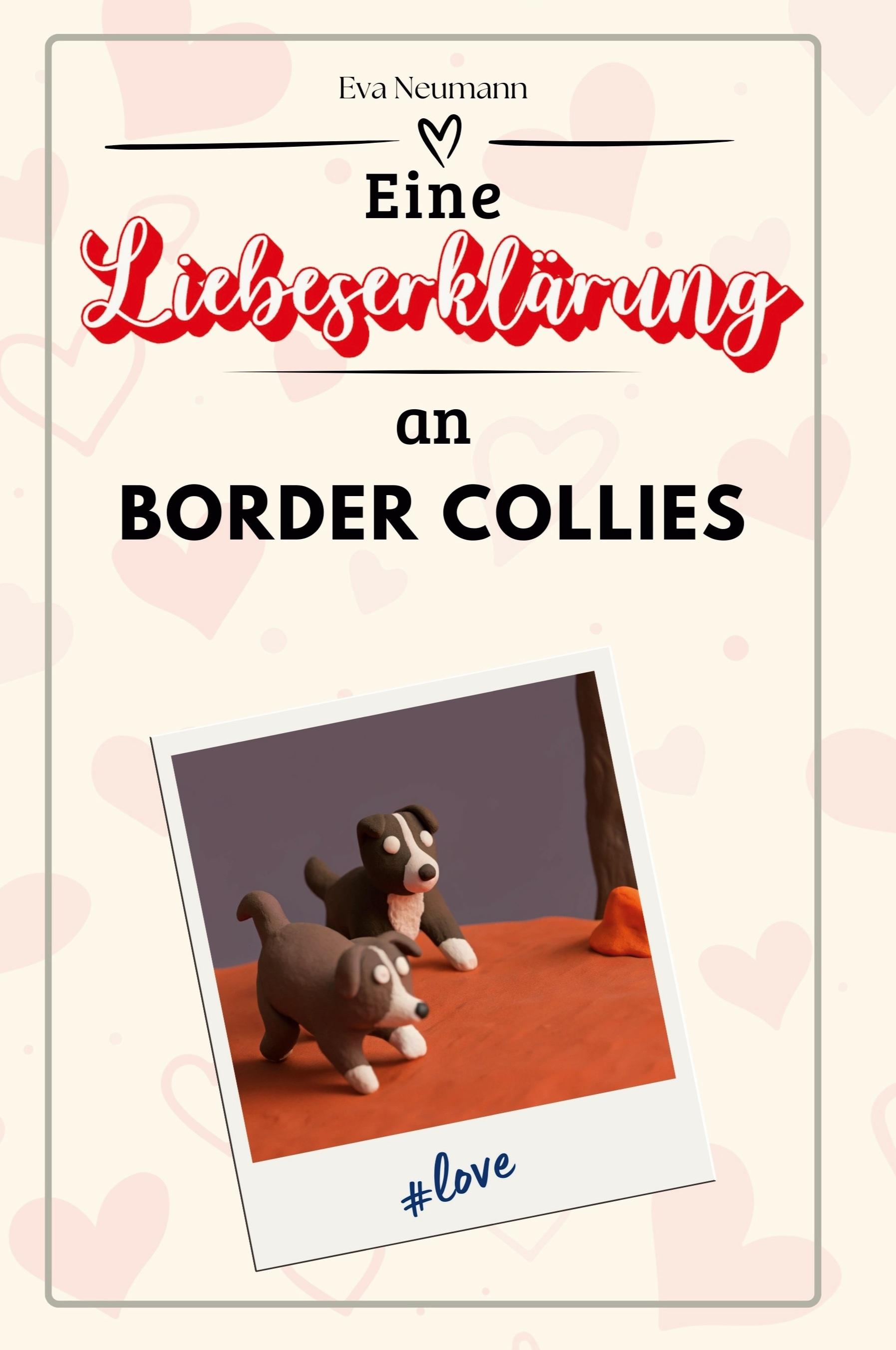 Vorderes Coverbild Eine Liebeserklärung an Border Collies