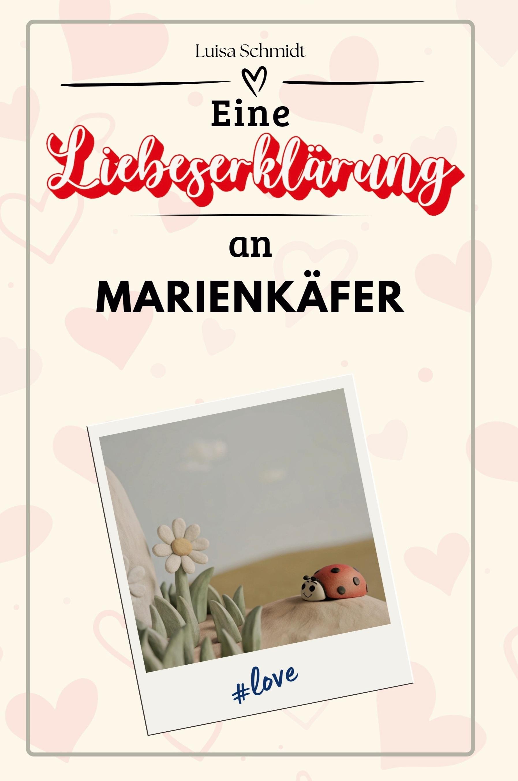 Vorderes Coverbild Eine Liebeserklärung an Marienkäfer