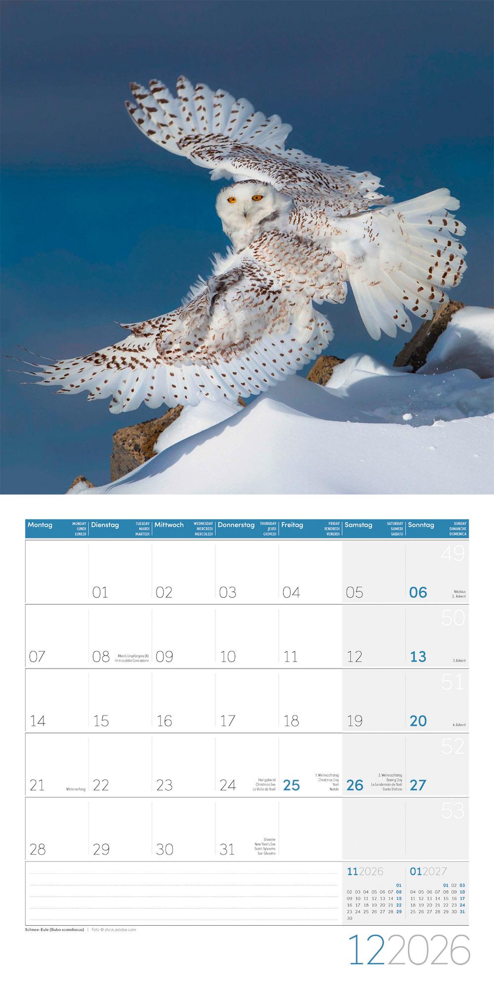 Beispielinhalt (Bild) Heimische Wildtiere Broschürenkalender 2026 - 30x30 - Art12