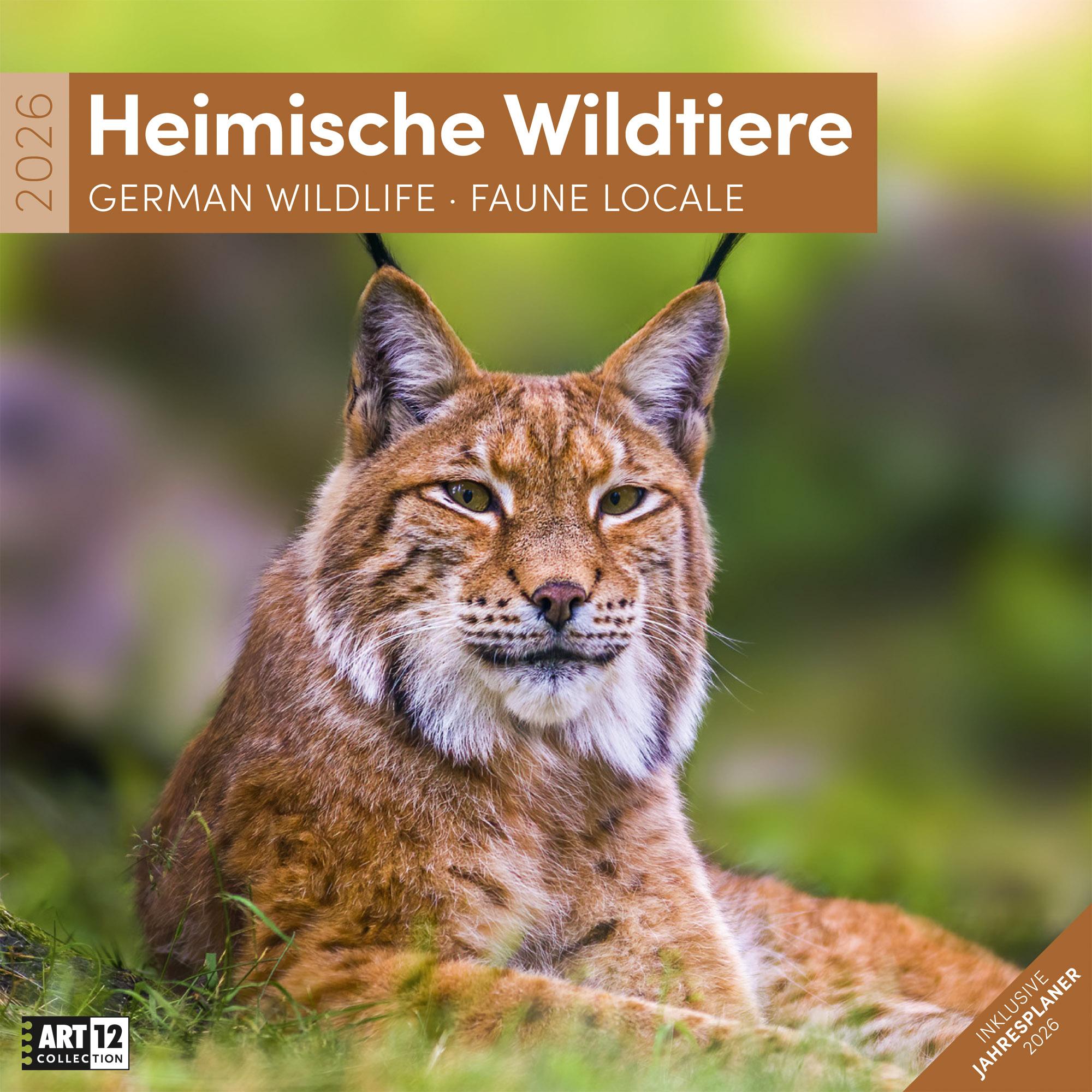 Vorderes Coverbild Heimische Wildtiere Broschürenkalender 2026 - 30x30 - Art12
