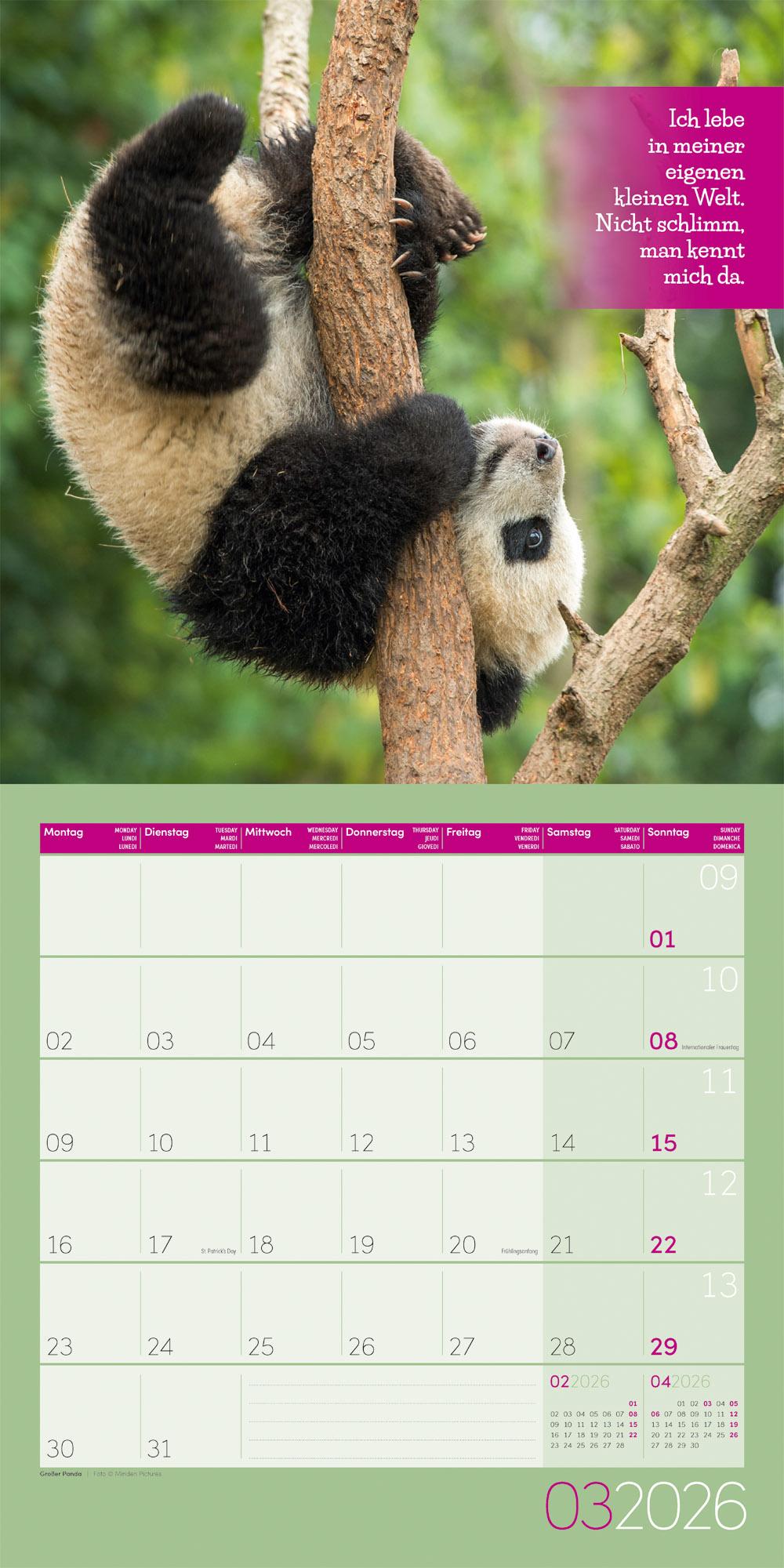 Beispielinhalt (Bild) Keep Smiling Broschürenkalender 2026 - 30x30 - Art12