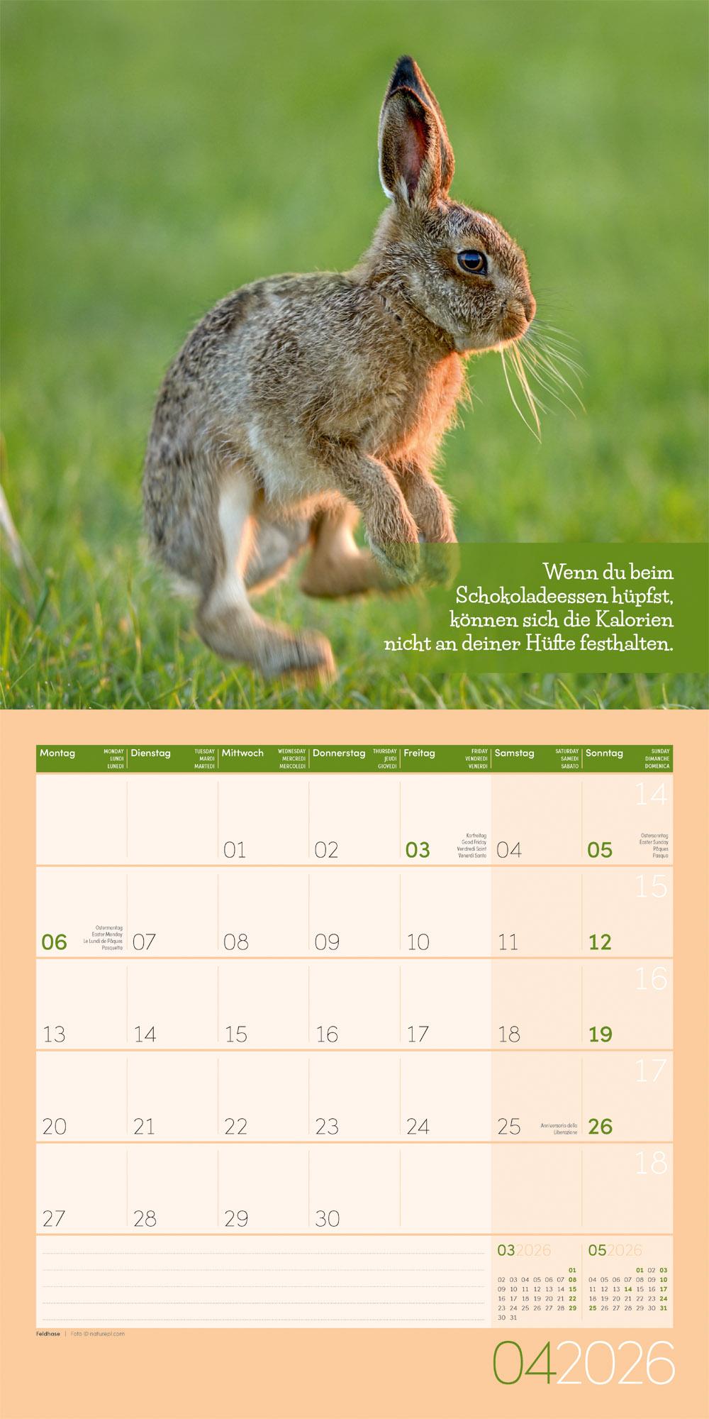 Beispielinhalt (Bild) Keep Smiling Broschürenkalender 2026 - 30x30 - Art12