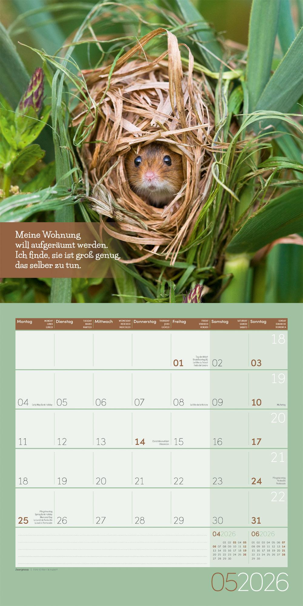 Beispielinhalt (Bild) Keep Smiling Broschürenkalender 2026 - 30x30 - Art12