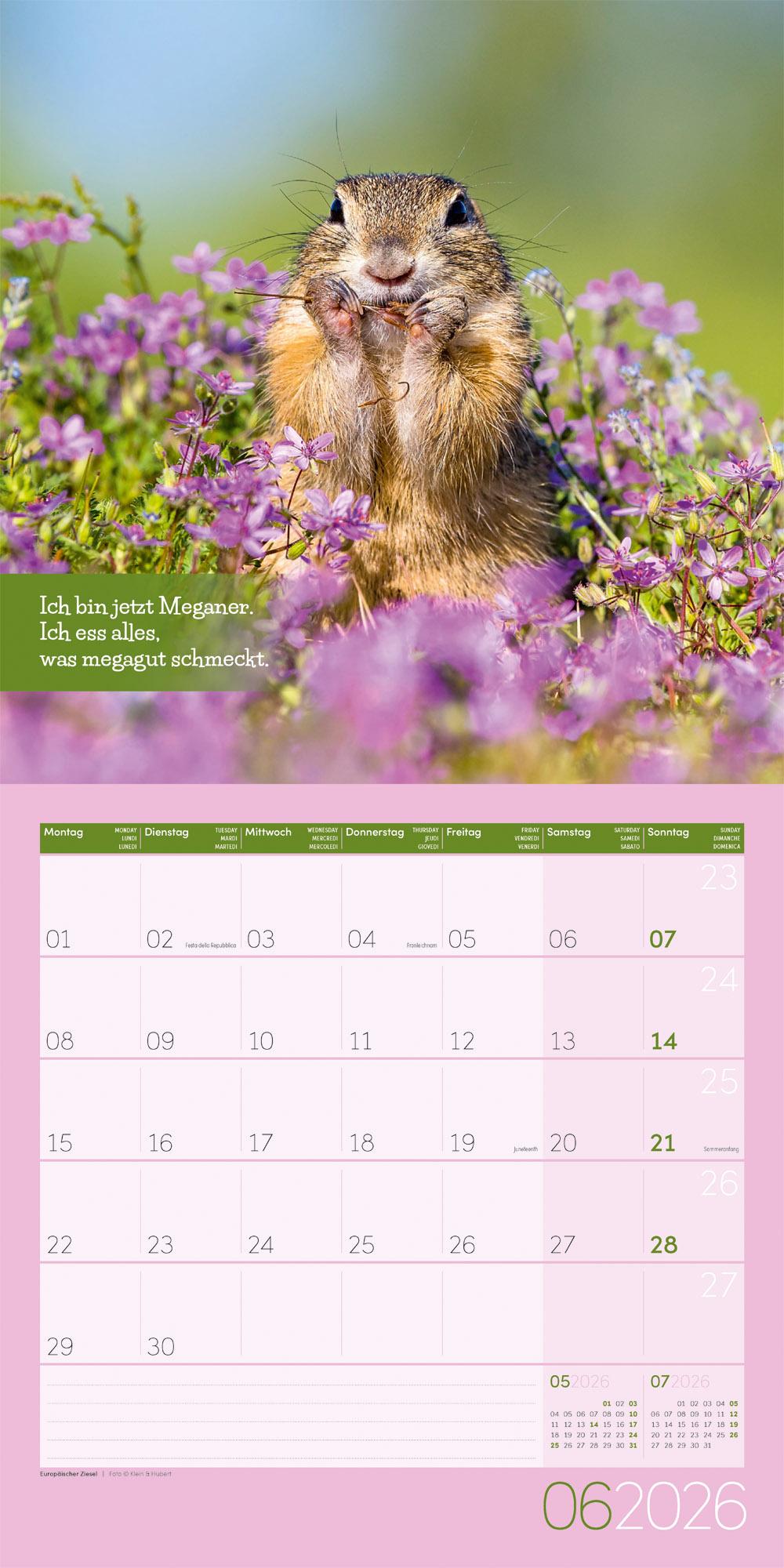 Beispielinhalt (Bild) Keep Smiling Broschürenkalender 2026 - 30x30 - Art12
