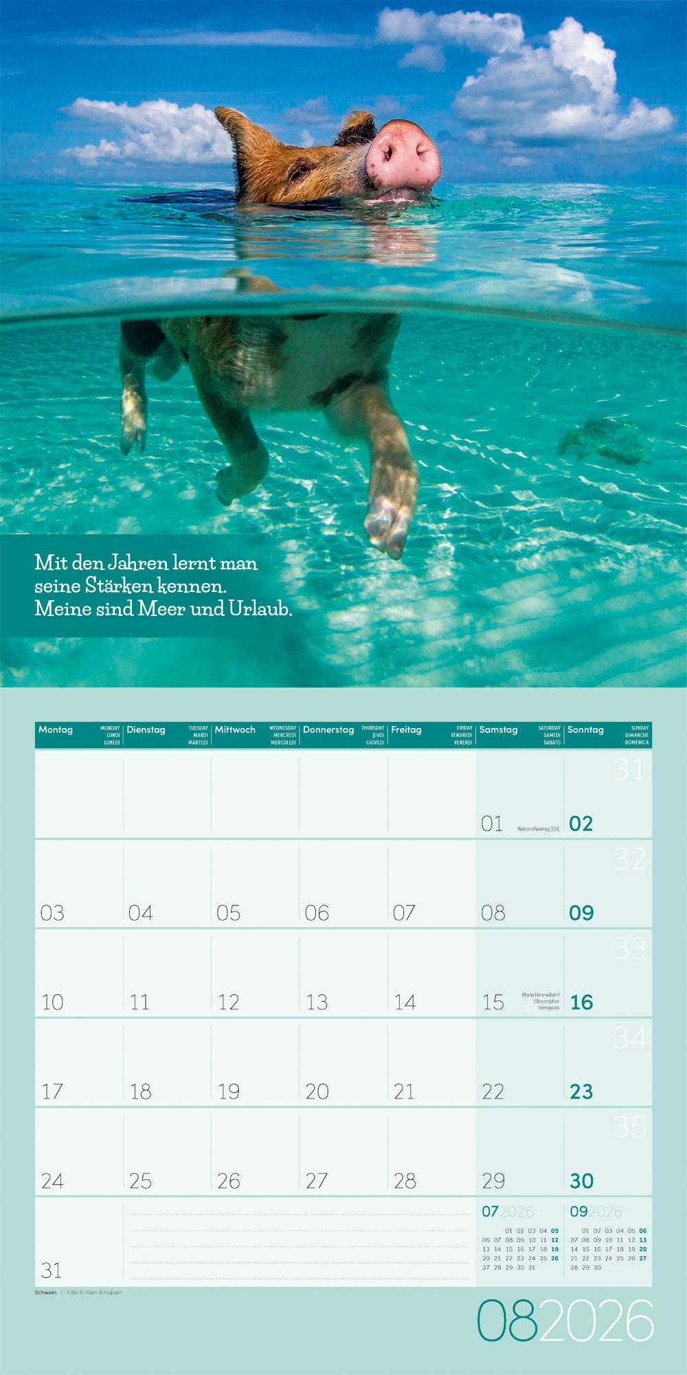 Beispielinhalt (Bild) Keep Smiling Broschürenkalender 2026 - 30x30 - Art12