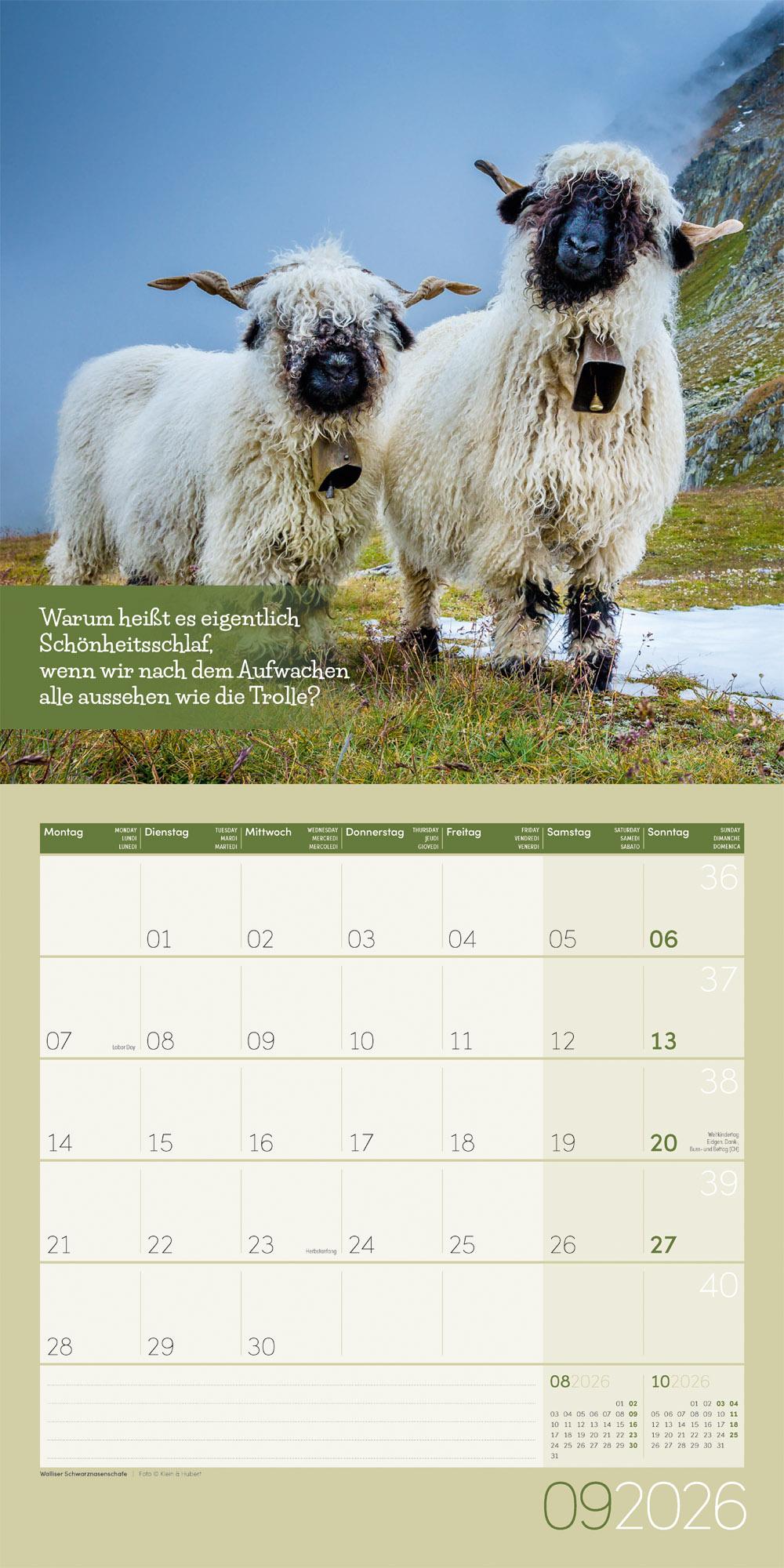Beispielinhalt (Bild) Keep Smiling Broschürenkalender 2026 - 30x30 - Art12