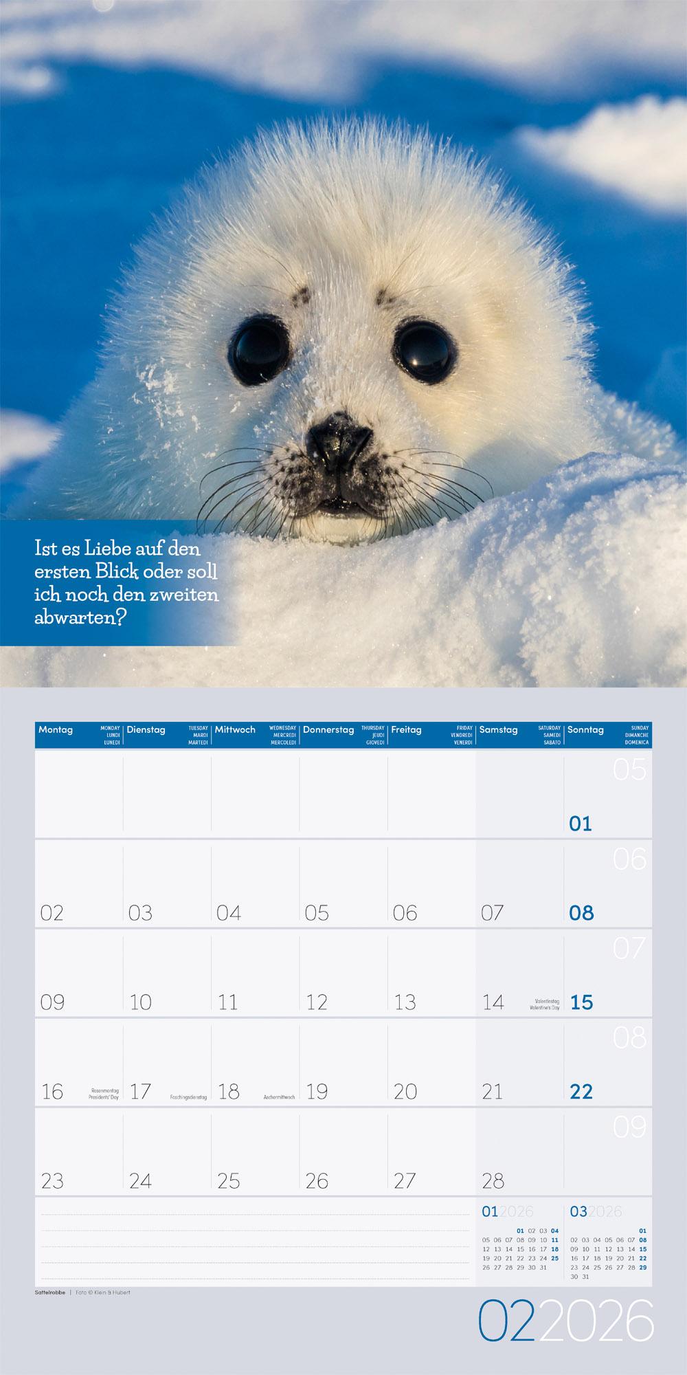 Beispielinhalt (Bild) Keep Smiling Broschürenkalender 2026 - 30x30 - Art12