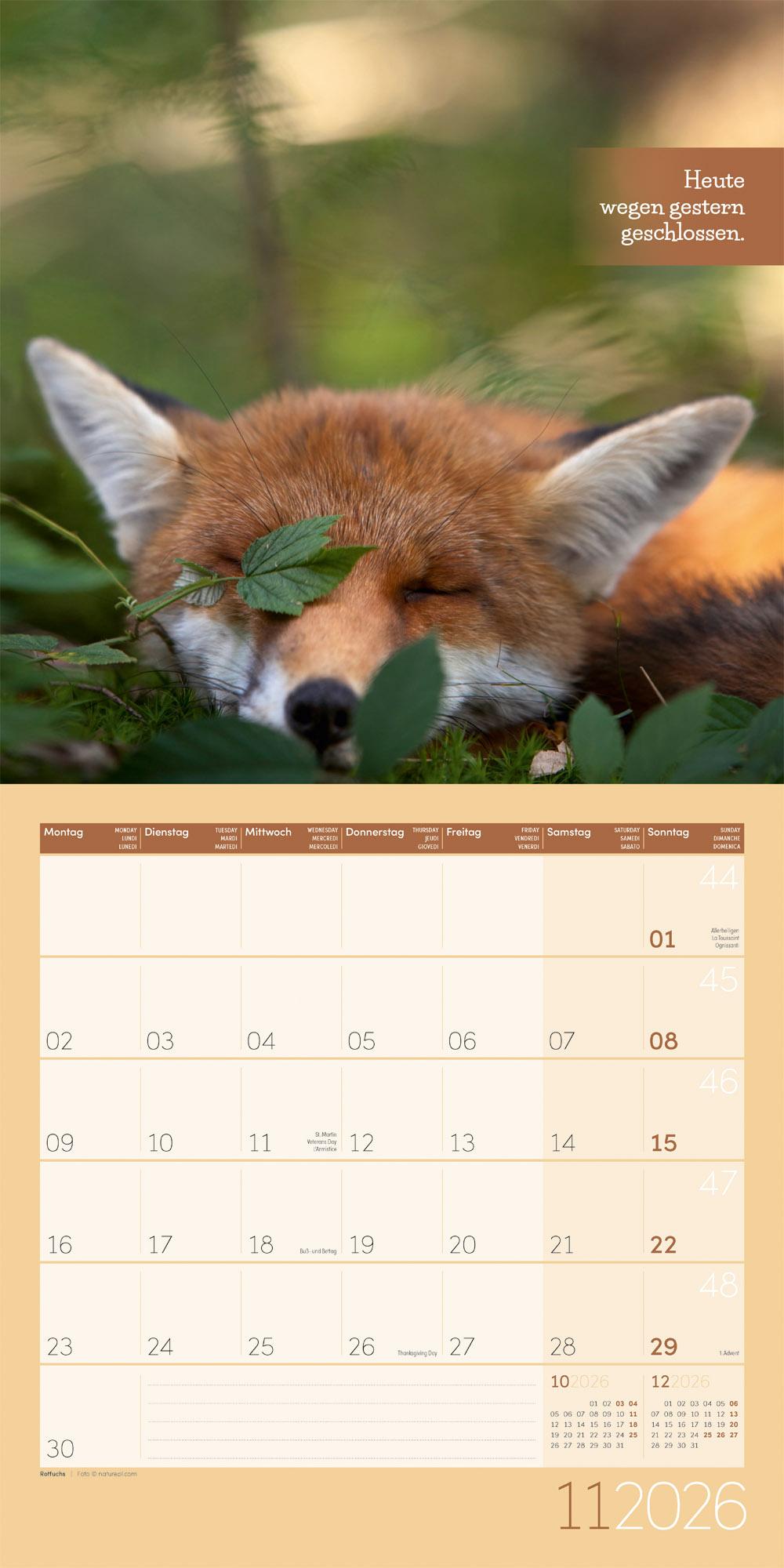 Beispielinhalt (Bild) Keep Smiling Broschürenkalender 2026 - 30x30 - Art12