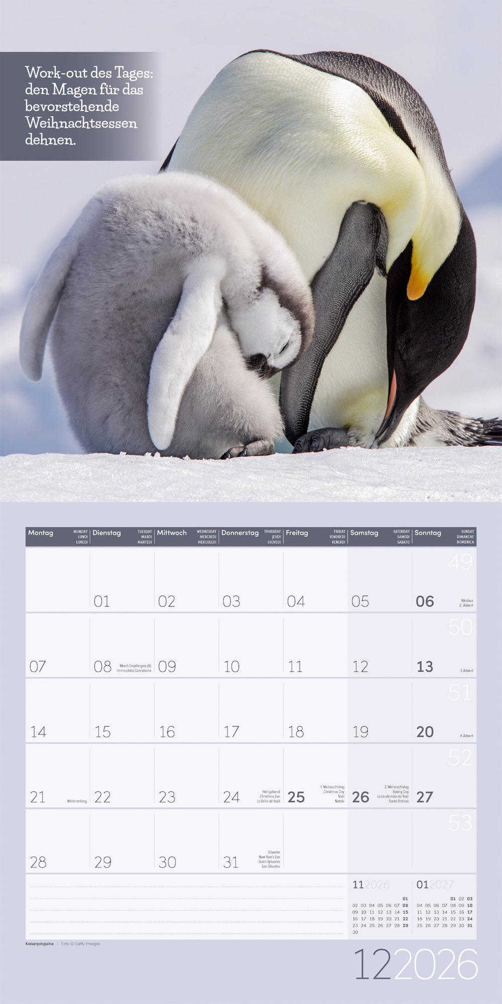 Beispielinhalt (Bild) Keep Smiling Broschürenkalender 2026 - 30x30 - Art12