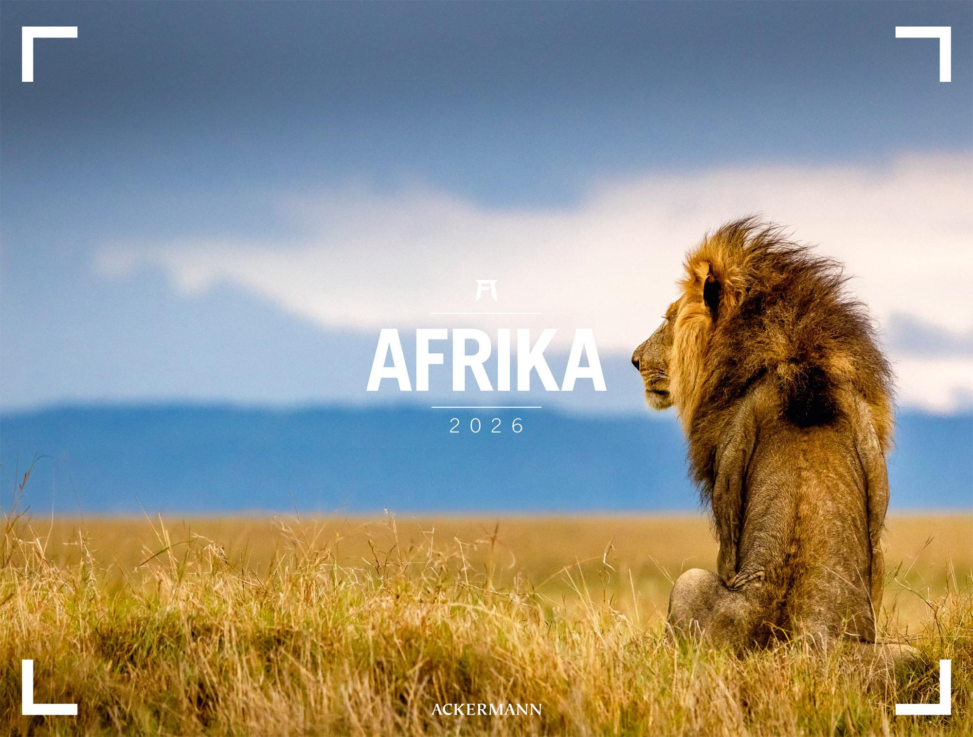 Vorderes Coverbild Afrika Gallery Kalender 2026