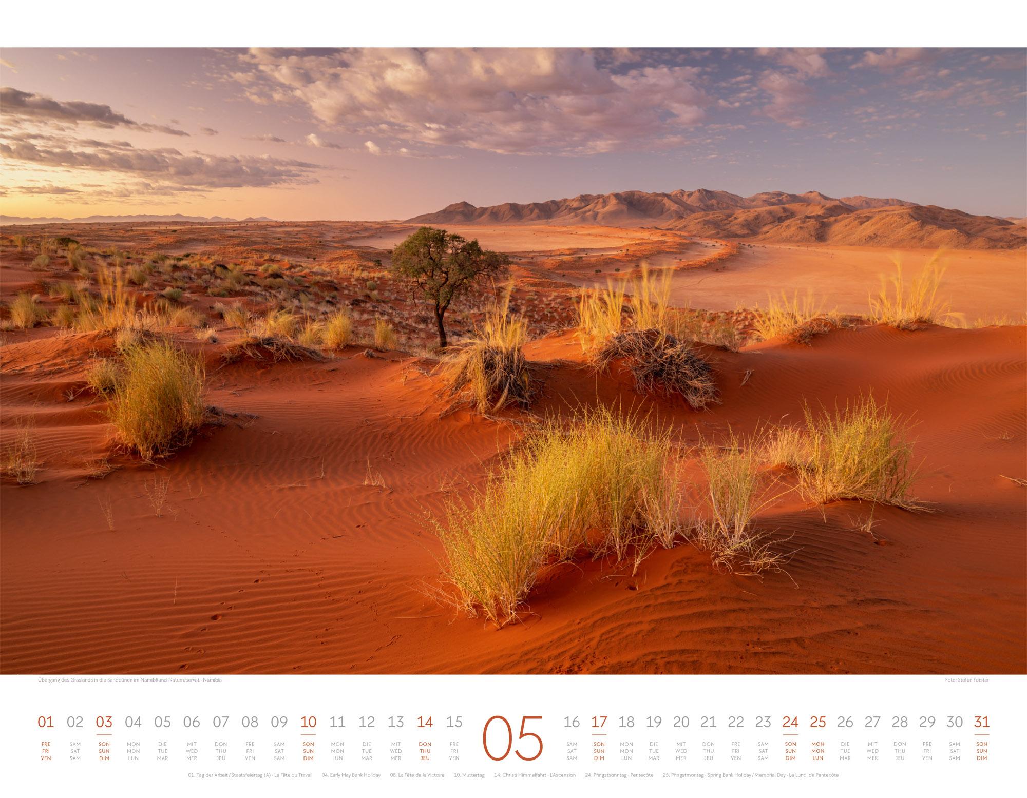 Beispielinhalt (Bild) Geheime Paradiese Kalender 2026