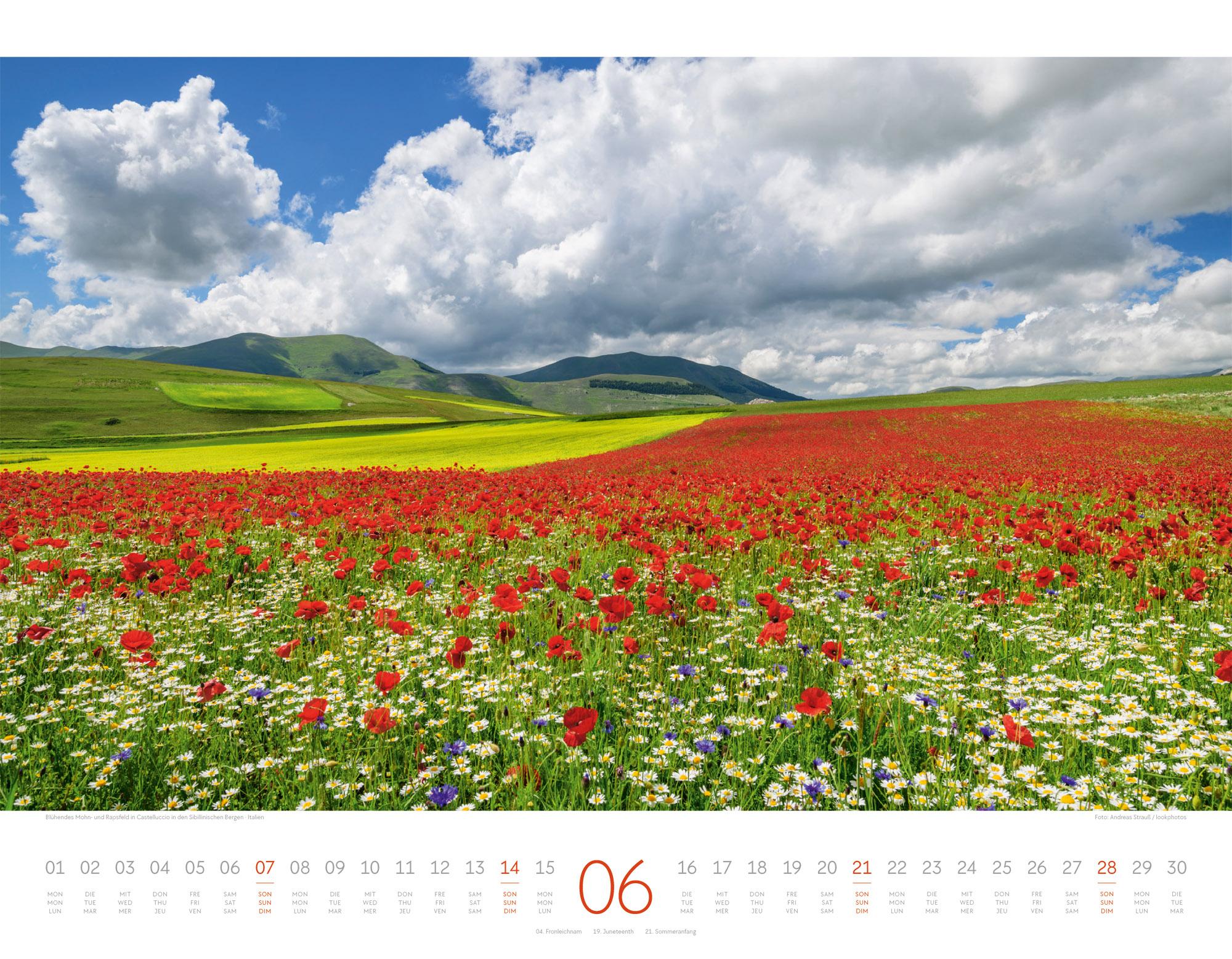 Beispielinhalt (Bild) Geheime Paradiese Kalender 2026