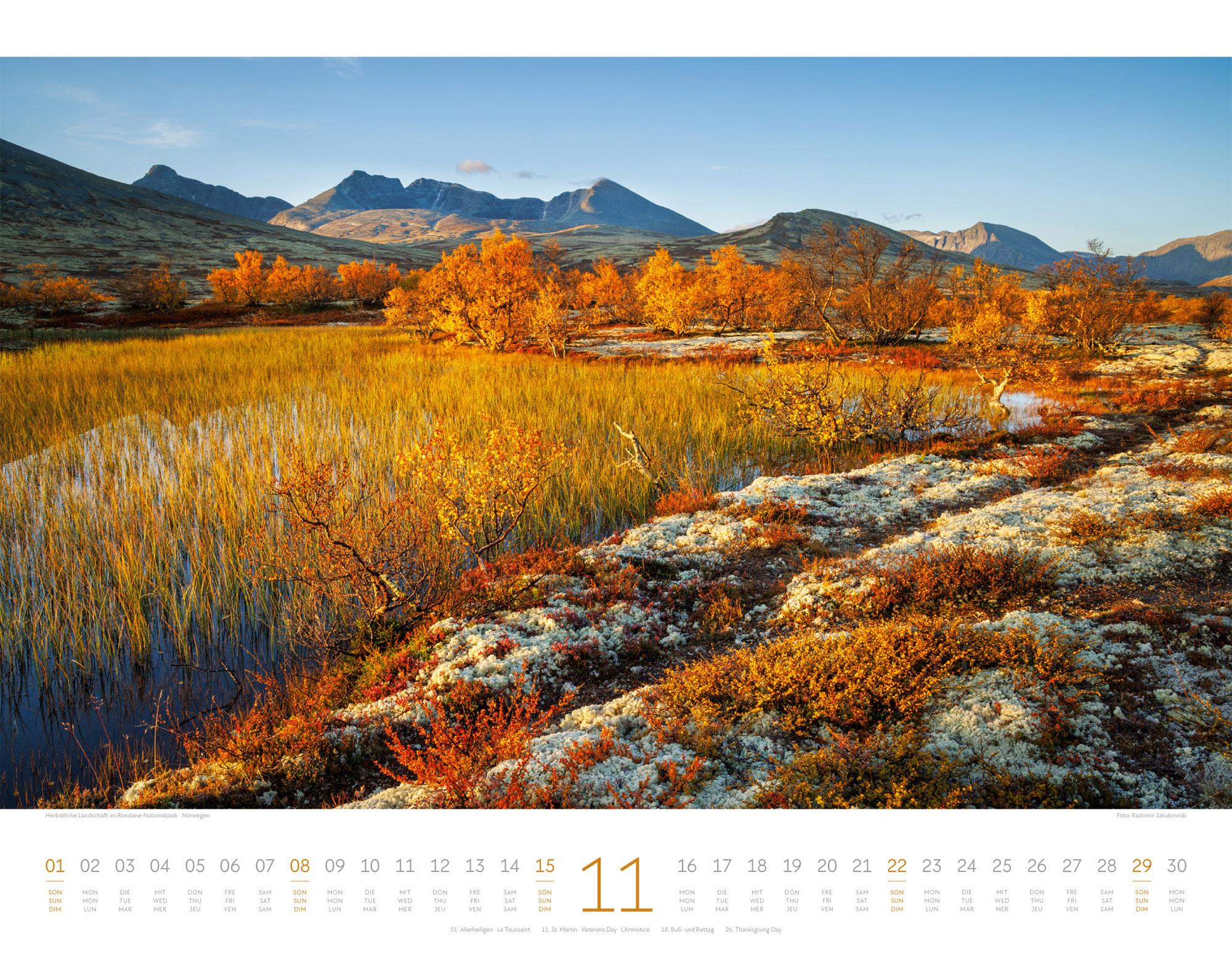Beispielinhalt (Bild) Geheime Paradiese Kalender 2026