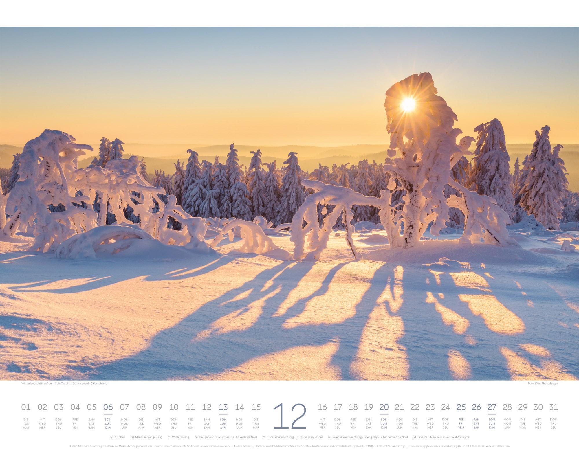Beispielinhalt (Bild) Geheime Paradiese Kalender 2026