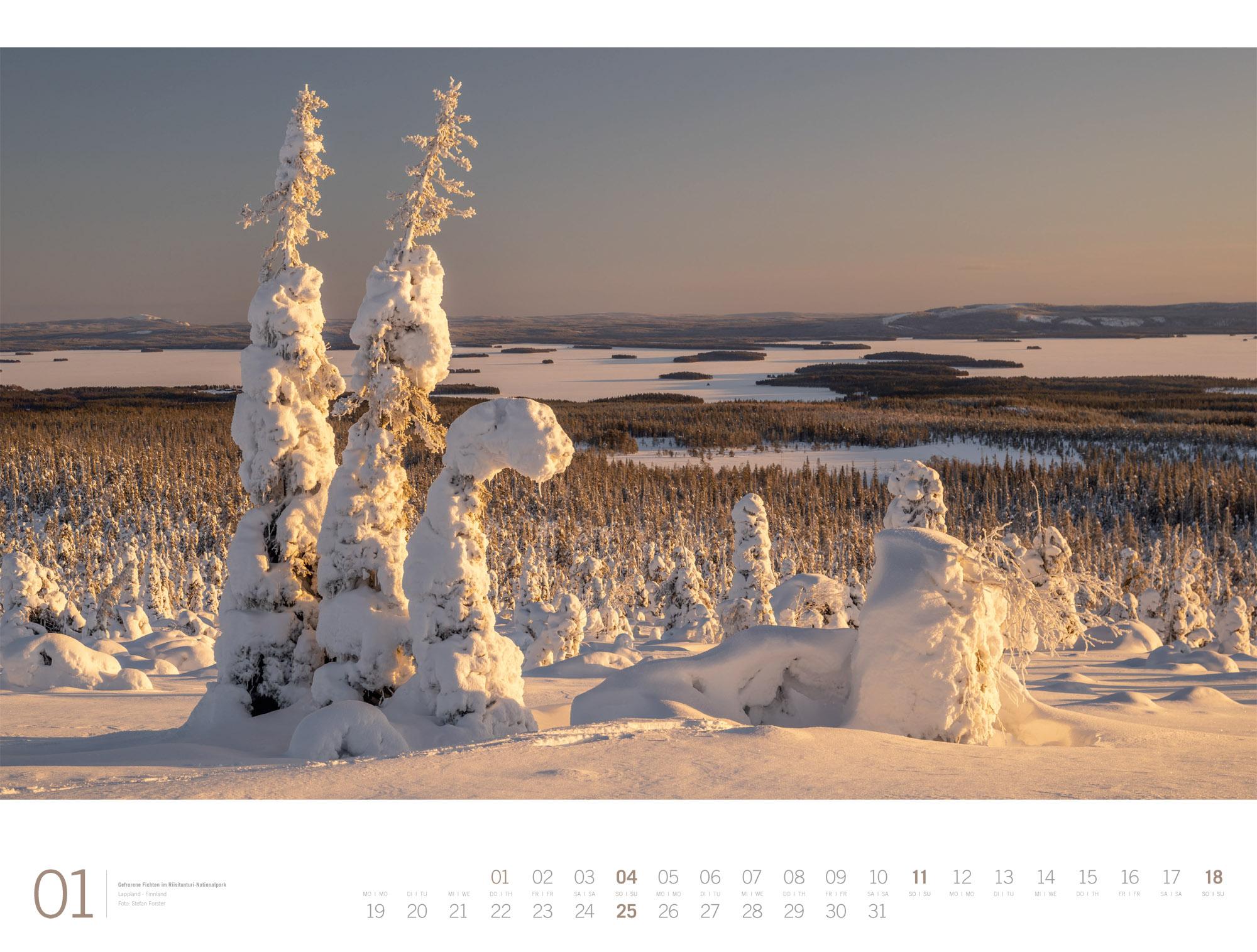 Beispielinhalt (Bild) Wald Gallery Kalender 2026