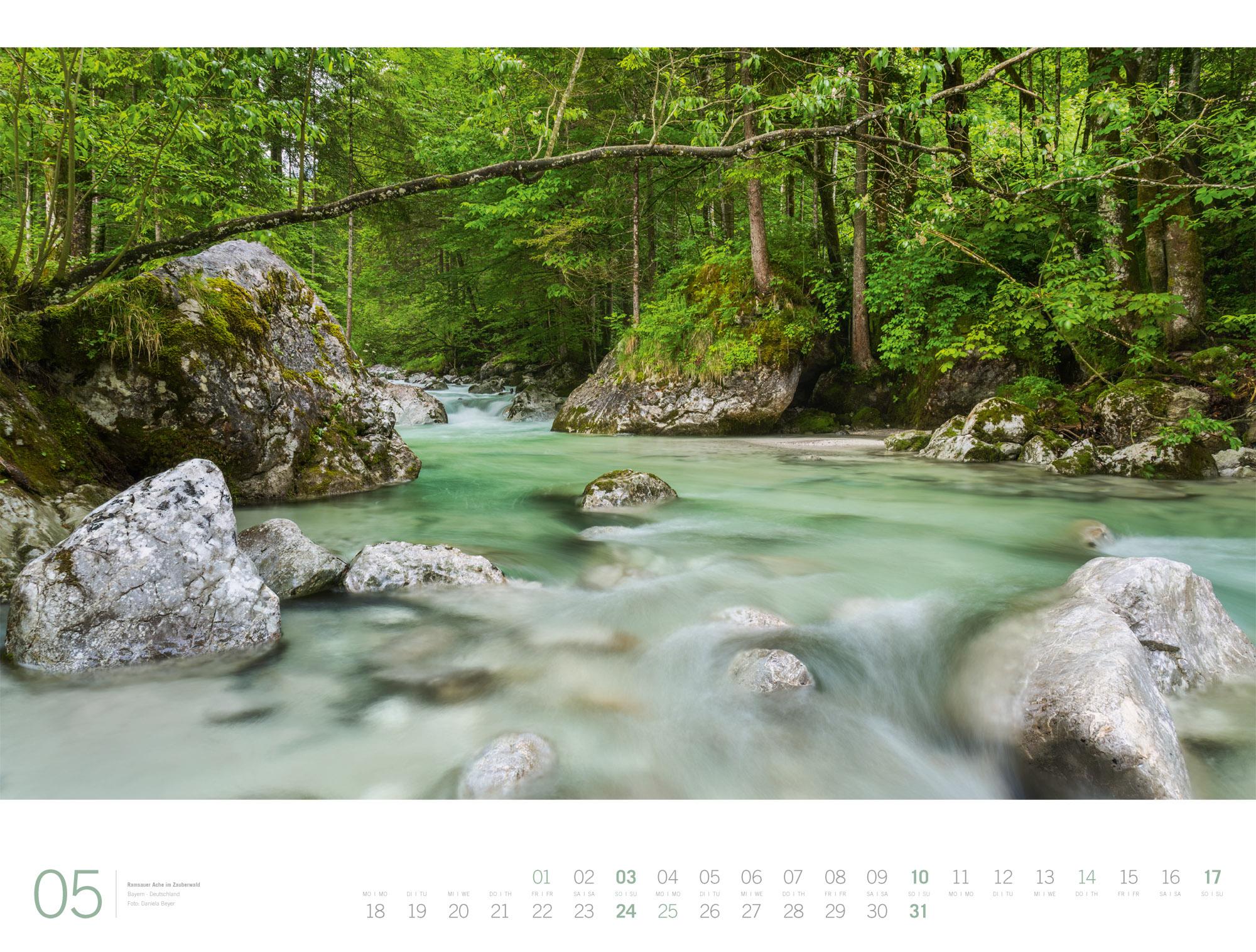 Beispielinhalt (Bild) Wald Gallery Kalender 2026