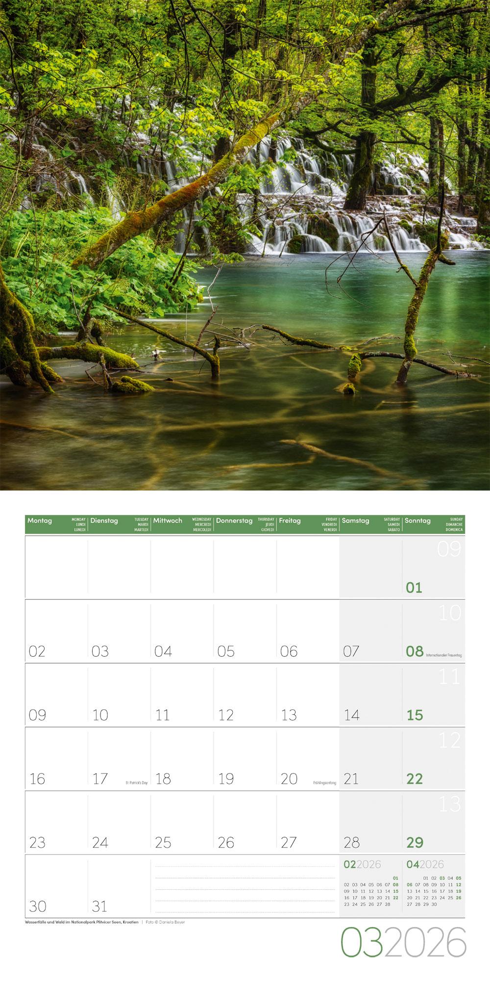 Beispielinhalt (Bild) Zauber des Waldes Broschürenkalender 2026 - 30x30 - Art12