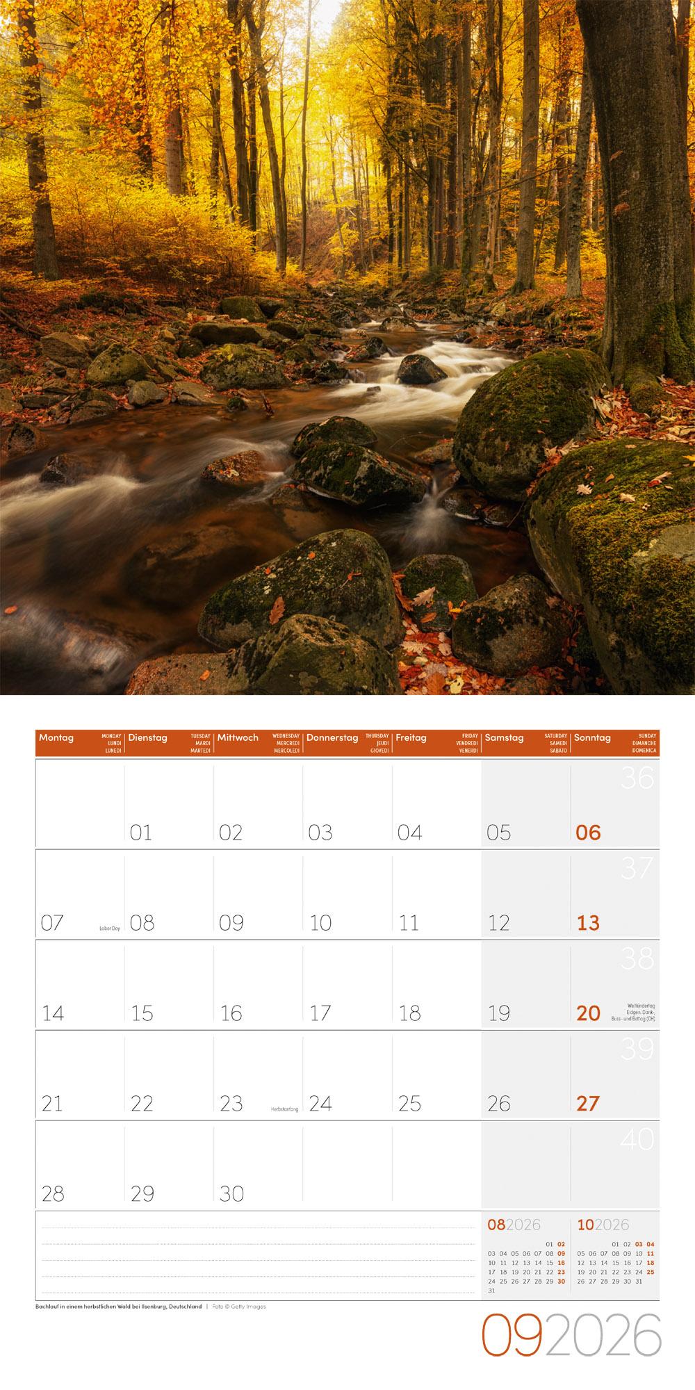 Beispielinhalt (Bild) Zauber des Waldes Broschürenkalender 2026 - 30x30 - Art12