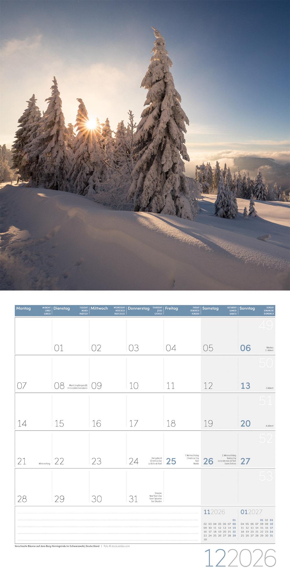 Beispielinhalt (Bild) Zauber des Waldes Broschürenkalender 2026 - 30x30 - Art12