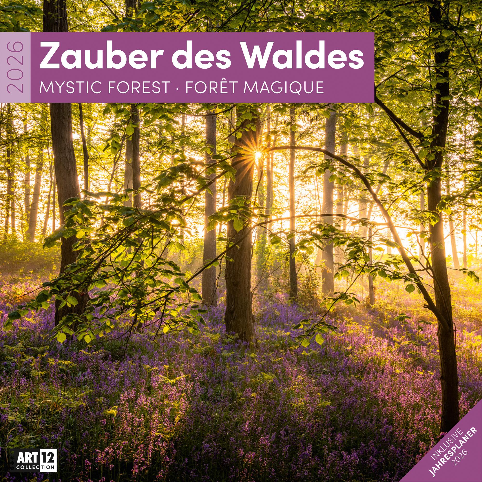 Vorderes Coverbild Zauber des Waldes Broschürenkalender 2026 - 30x30 - Art12
