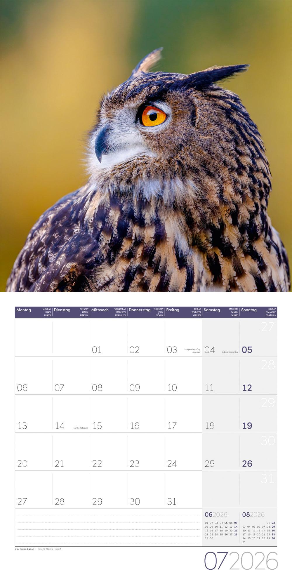 Beispielinhalt (Bild) Eulen Broschürenkalender 2026 - 30x30 - Art12