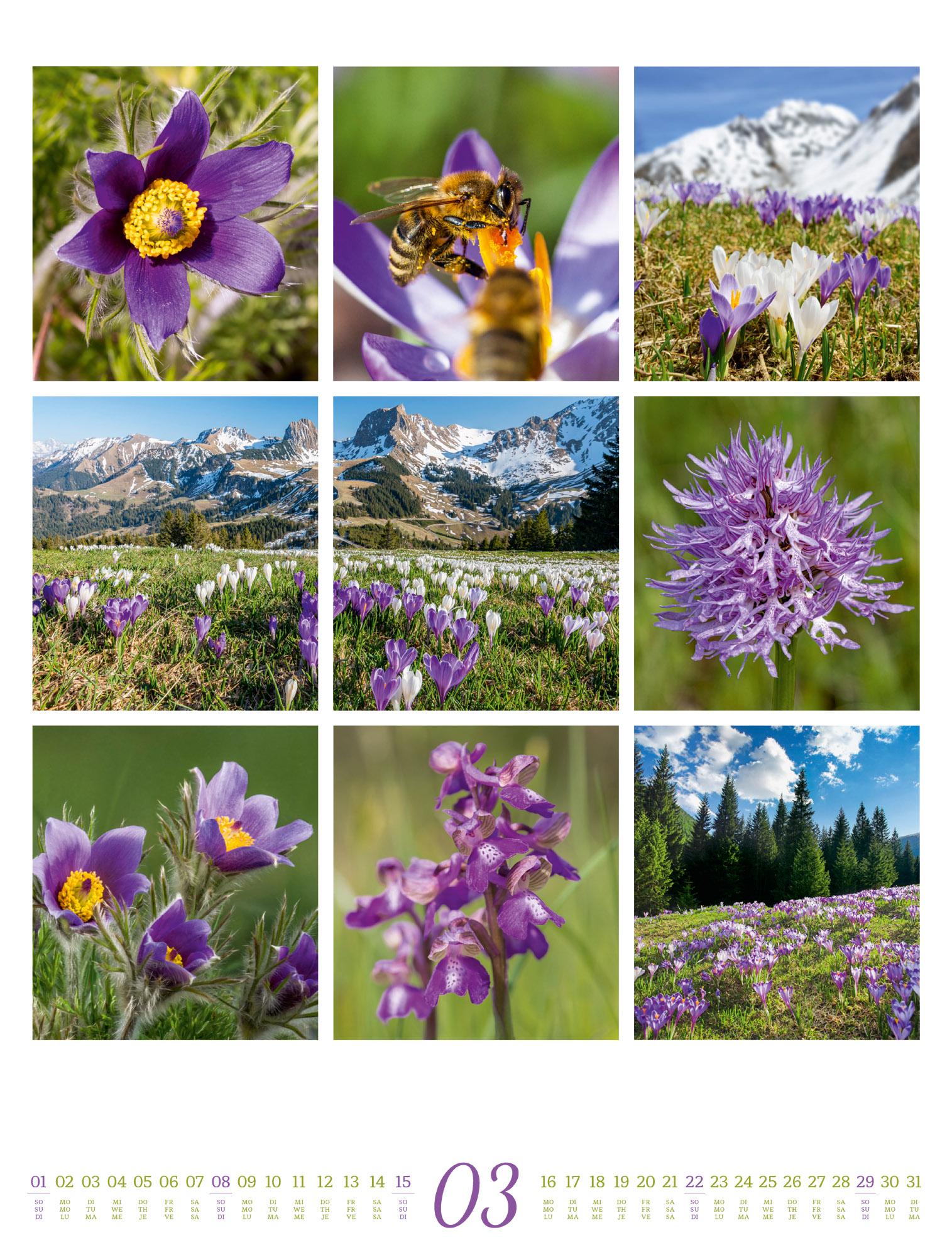 Beispielinhalt (Bild) Inspiration Natur Kalender 2026