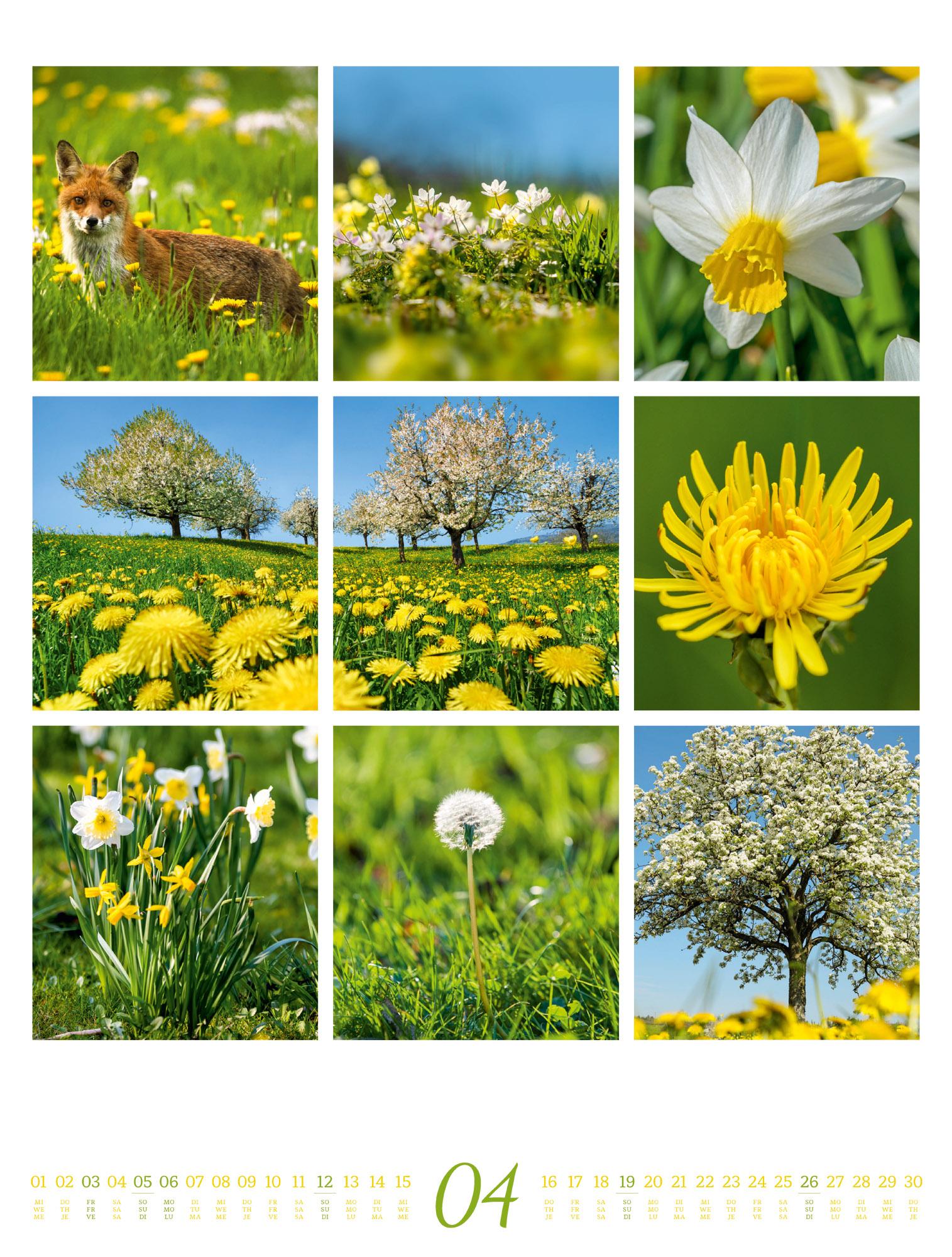 Beispielinhalt (Bild) Inspiration Natur Kalender 2026