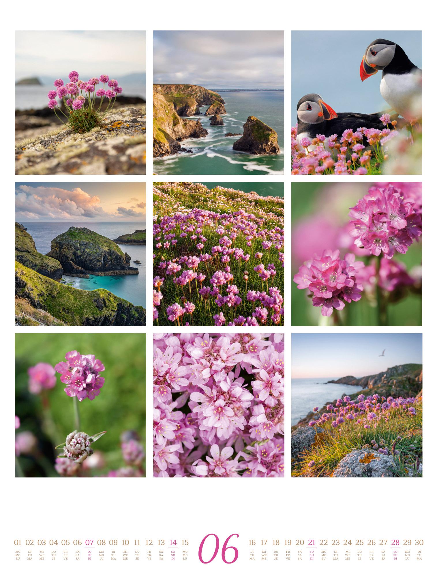 Beispielinhalt (Bild) Inspiration Natur Kalender 2026