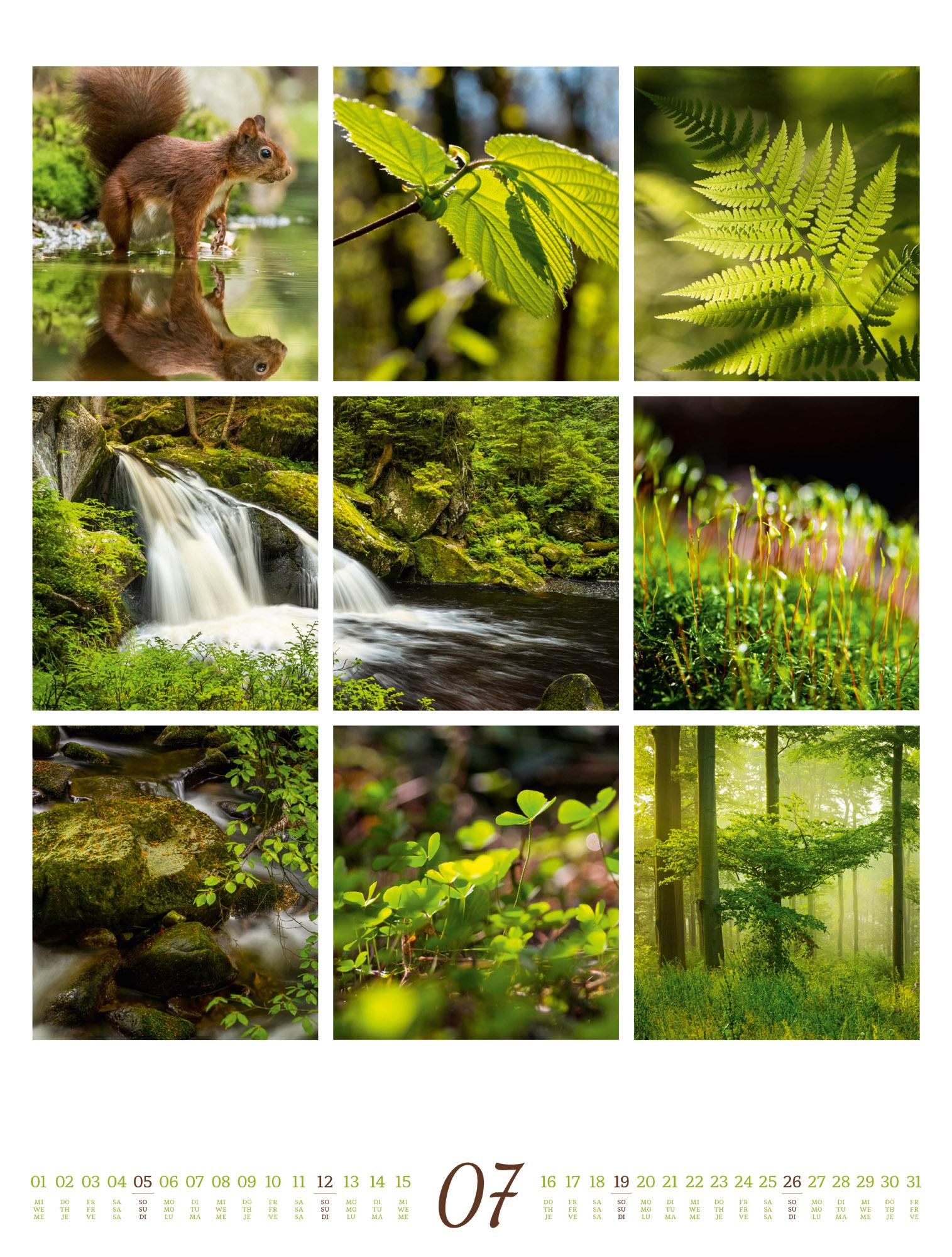 Beispielinhalt (Bild) Inspiration Natur Kalender 2026