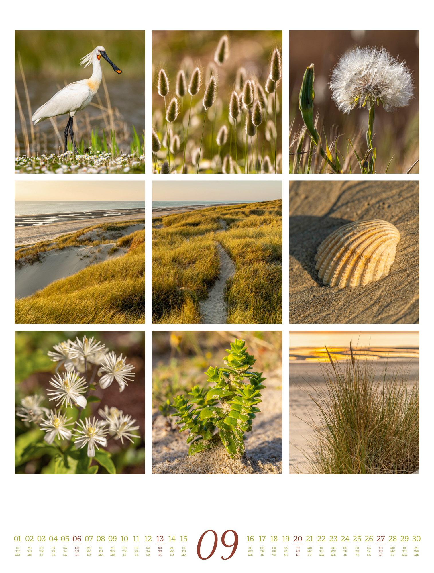 Beispielinhalt (Bild) Inspiration Natur Kalender 2026