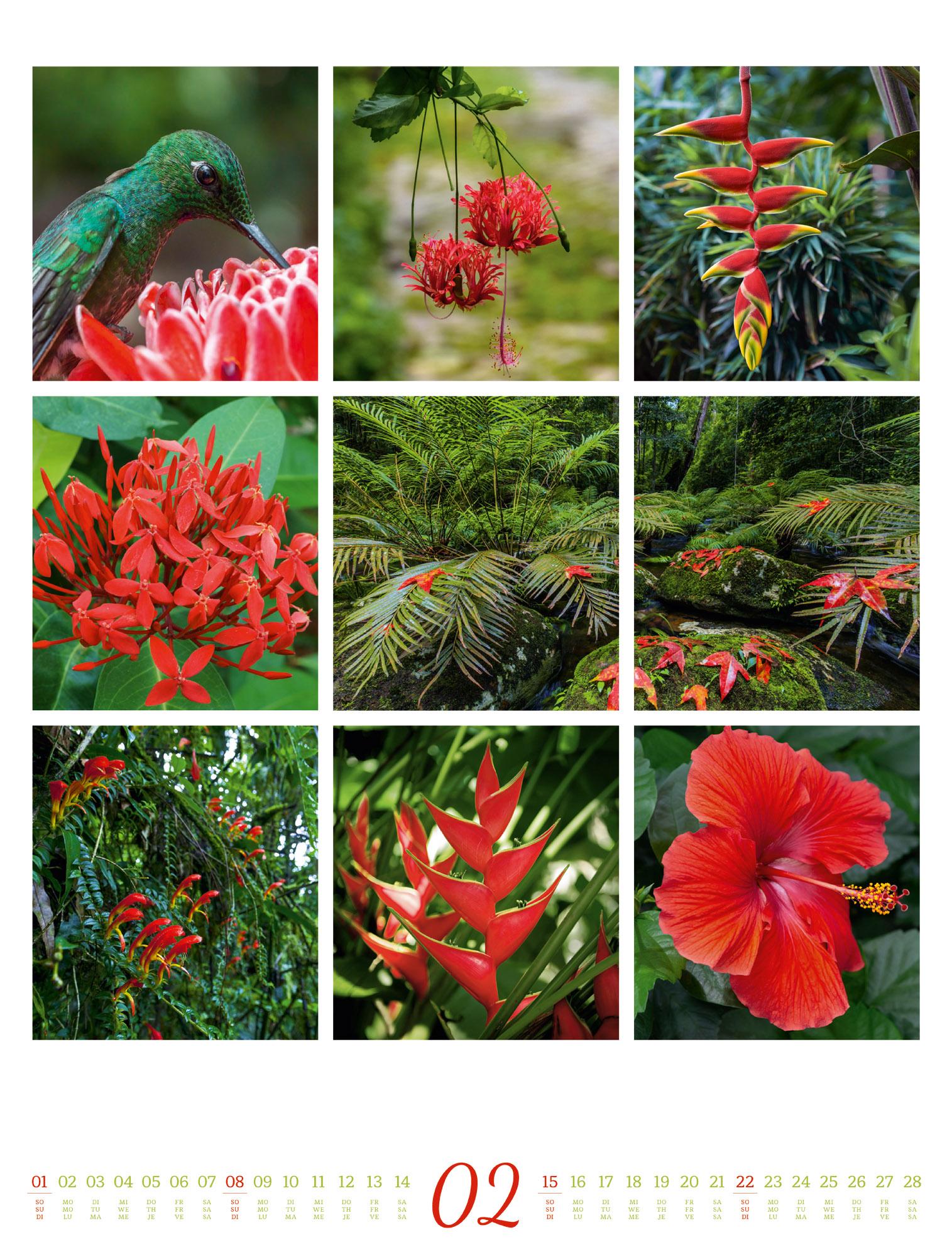 Beispielinhalt (Bild) Inspiration Natur Kalender 2026