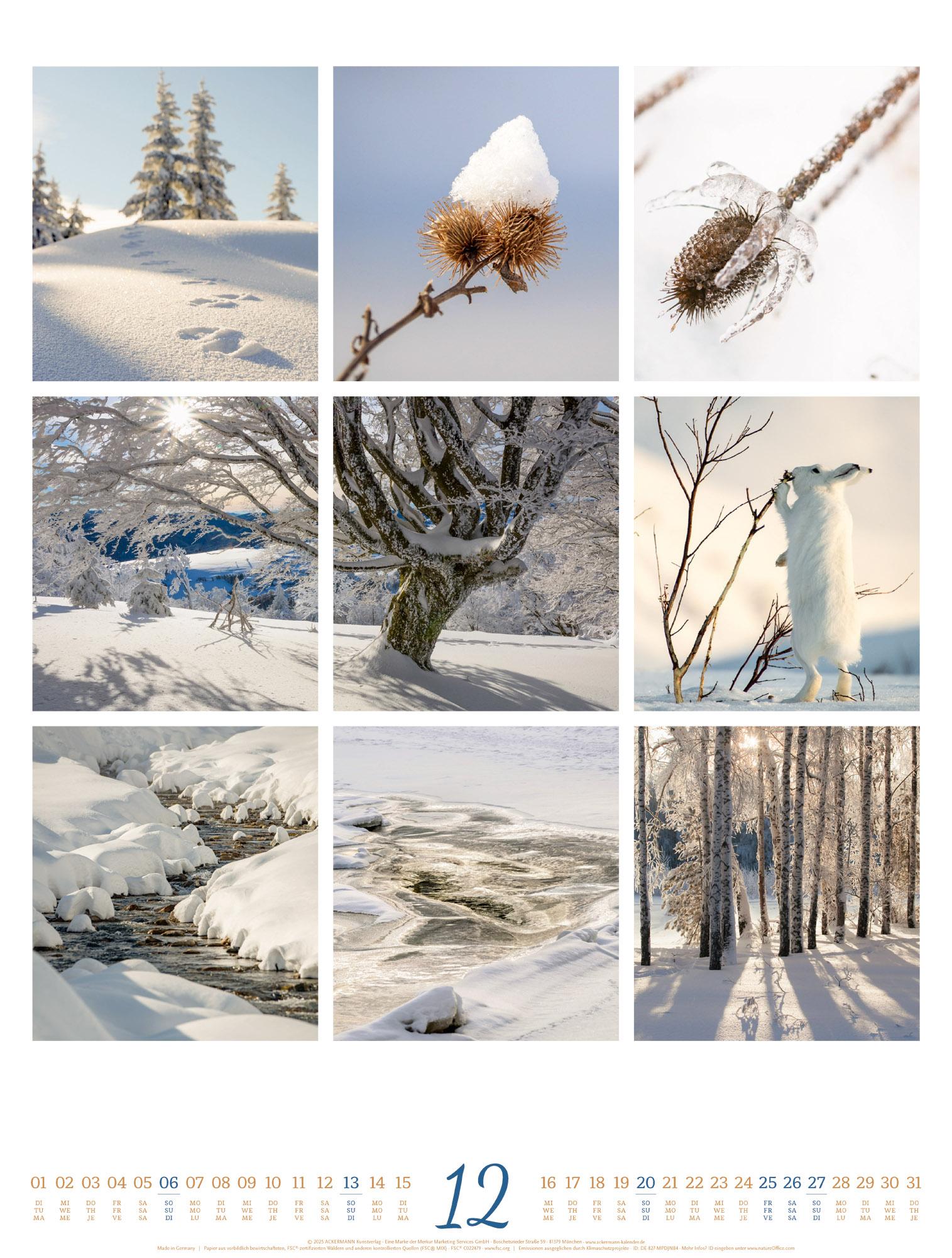 Beispielinhalt (Bild) Inspiration Natur Kalender 2026