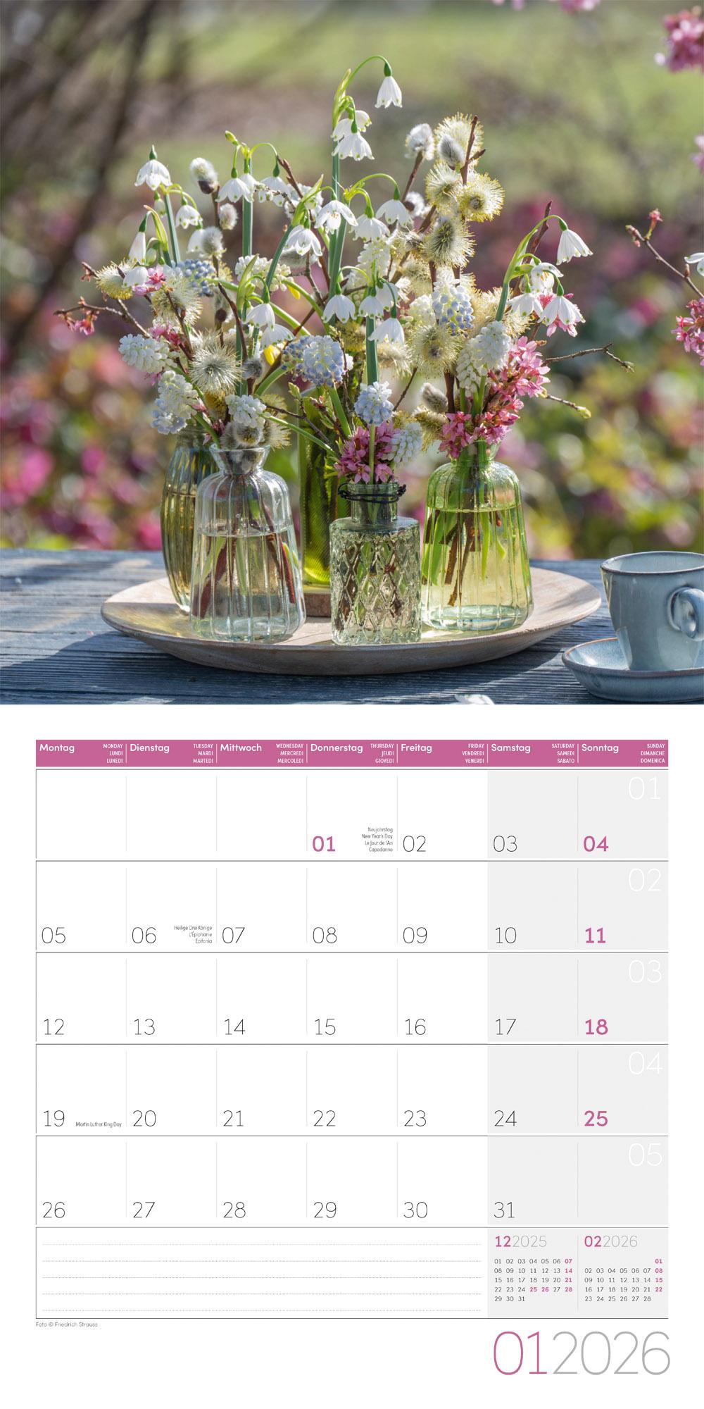 Beispielinhalt (Bild) Blumenzauber Broschürenkalender 2026 - 30x30 - Art12