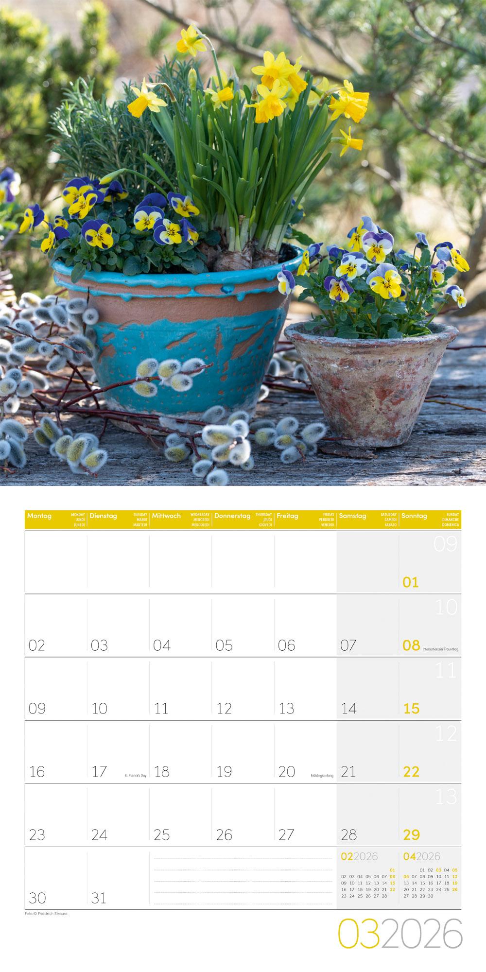 Beispielinhalt (Bild) Blumenzauber Broschürenkalender 2026 - 30x30 - Art12