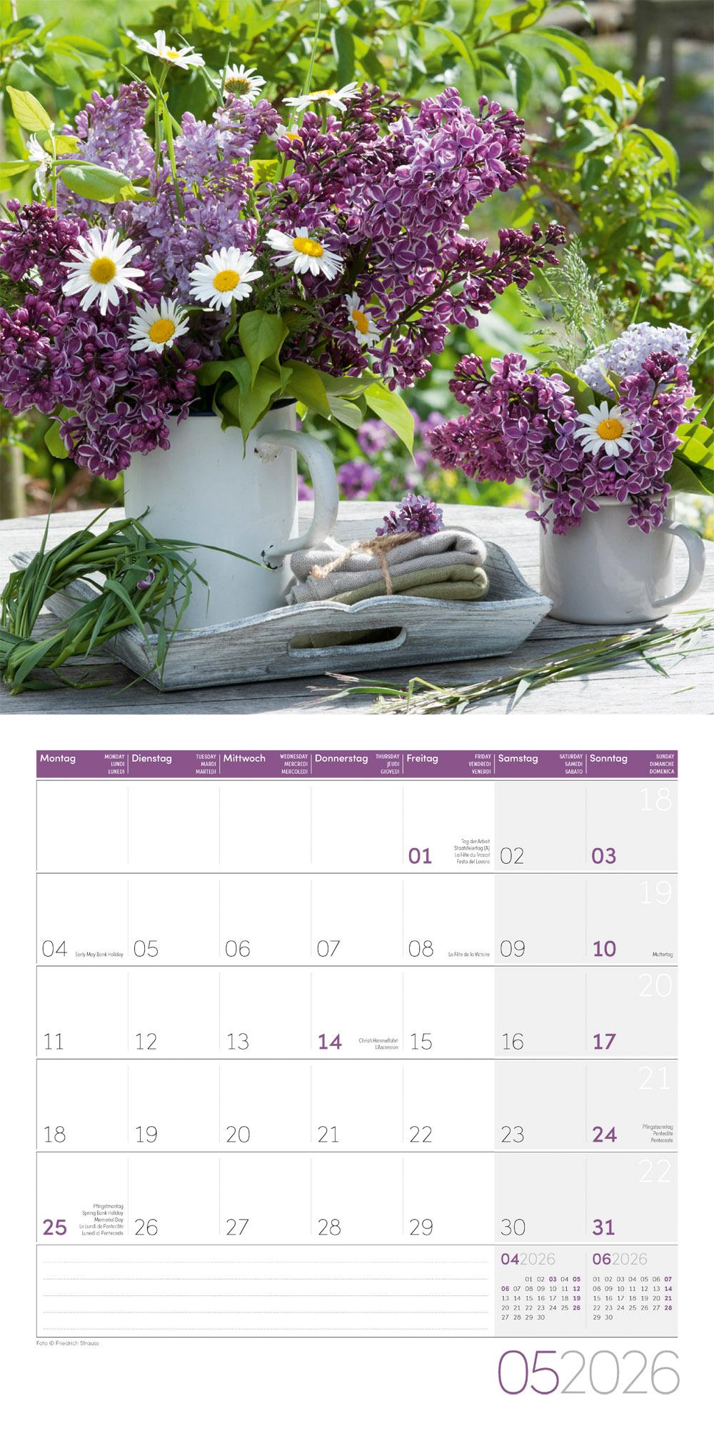 Beispielinhalt (Bild) Blumenzauber Broschürenkalender 2026 - 30x30 - Art12