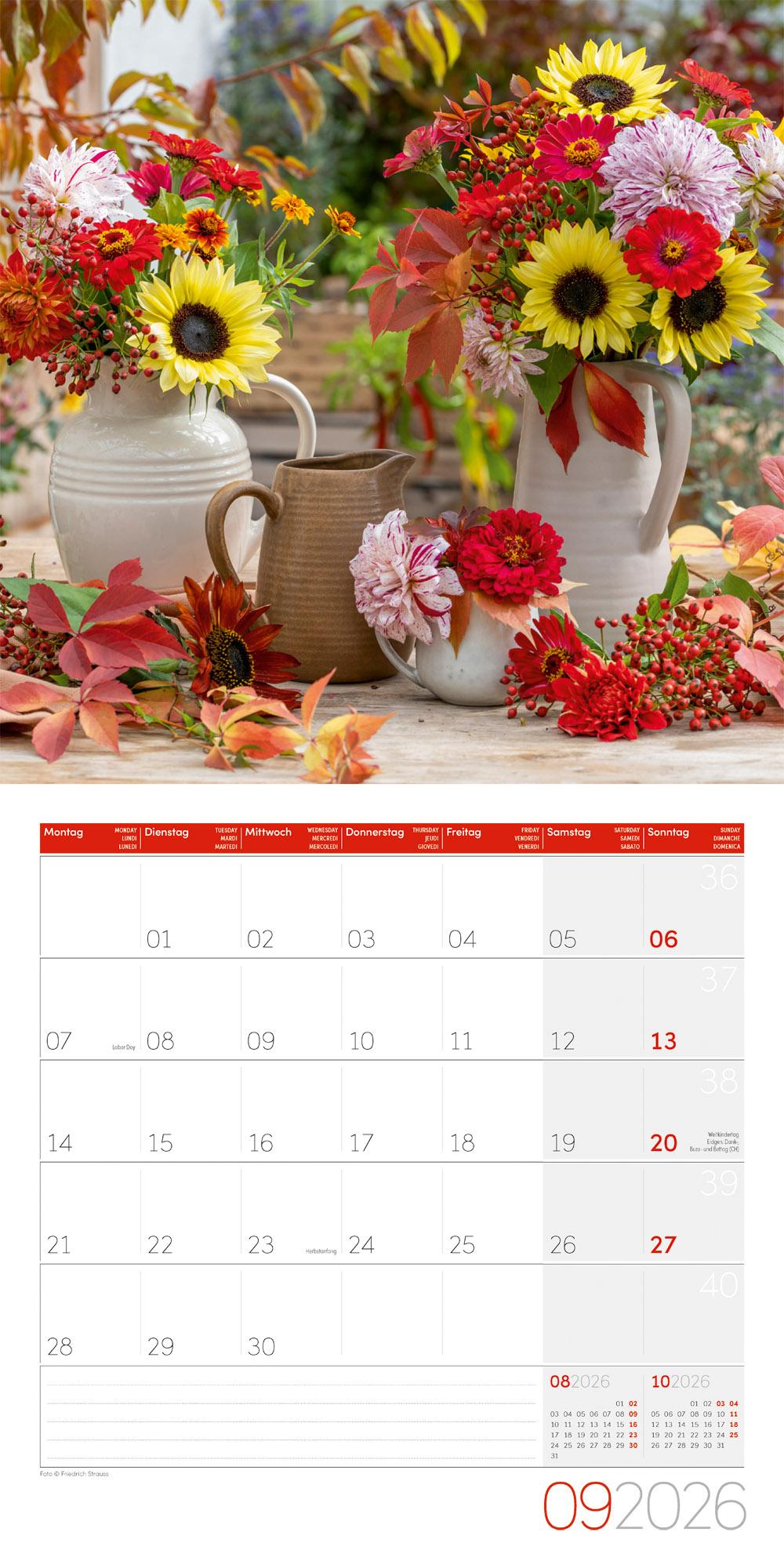 Beispielinhalt (Bild) Blumenzauber Broschürenkalender 2026 - 30x30 - Art12